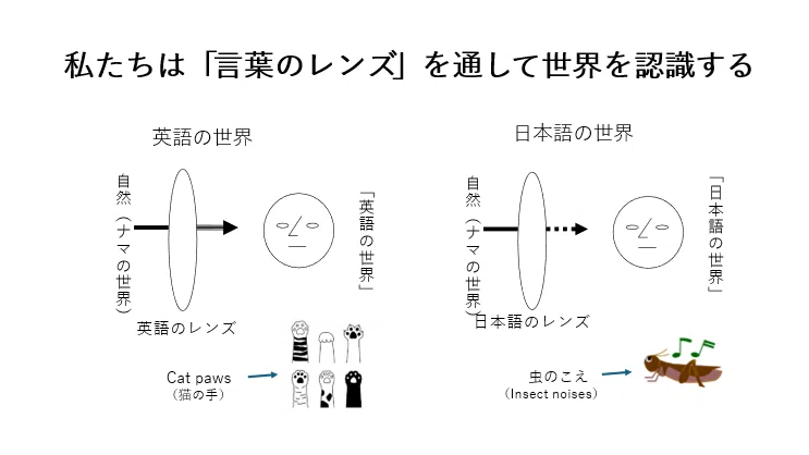 英文読解上達指南 : 古谷メソッド 英文読解上達指南: 古谷メソッド | 古谷 三郎 |本 | 通販 | Amazon
