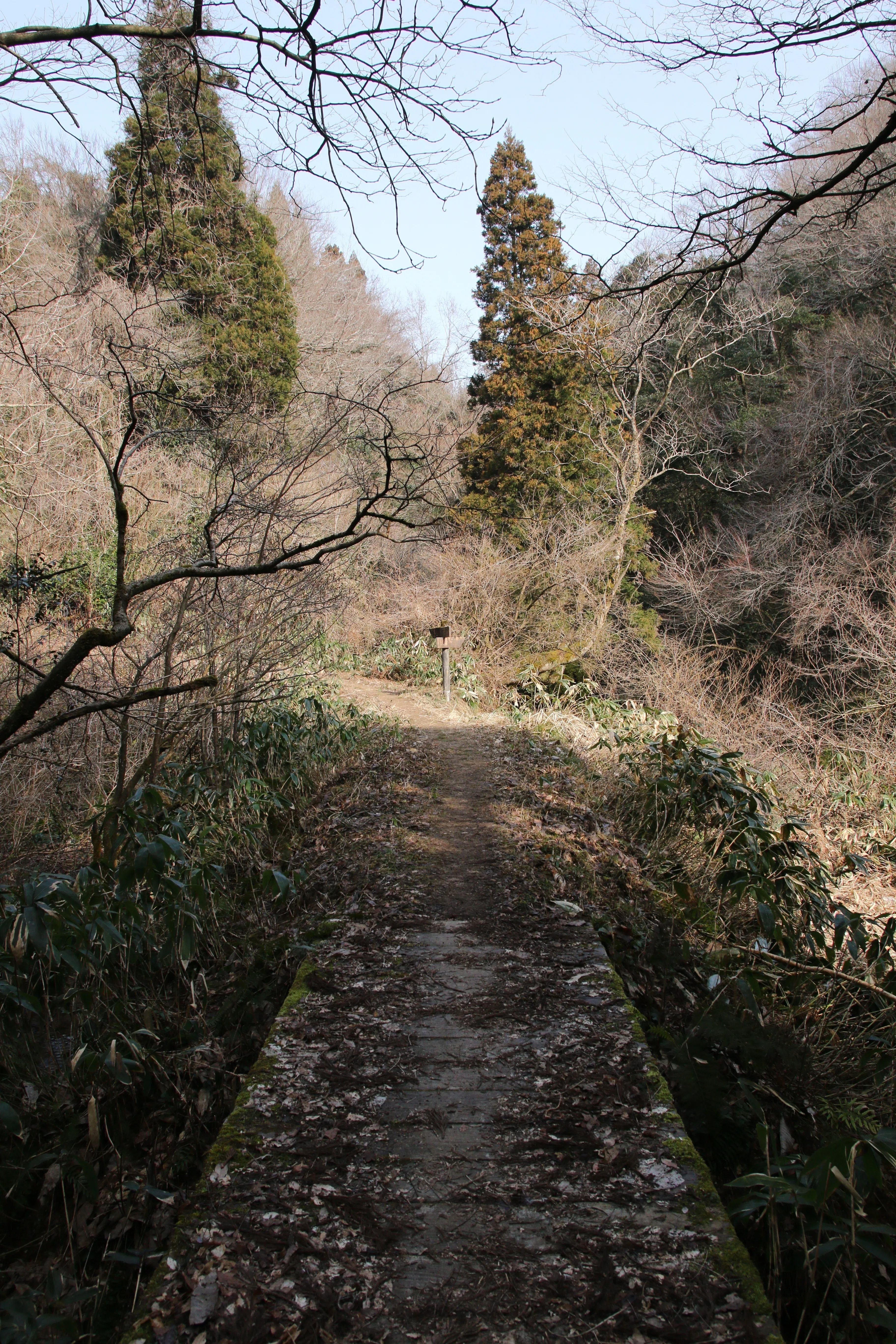 そうだ、山に行こう～二上山～｜ゆうてん