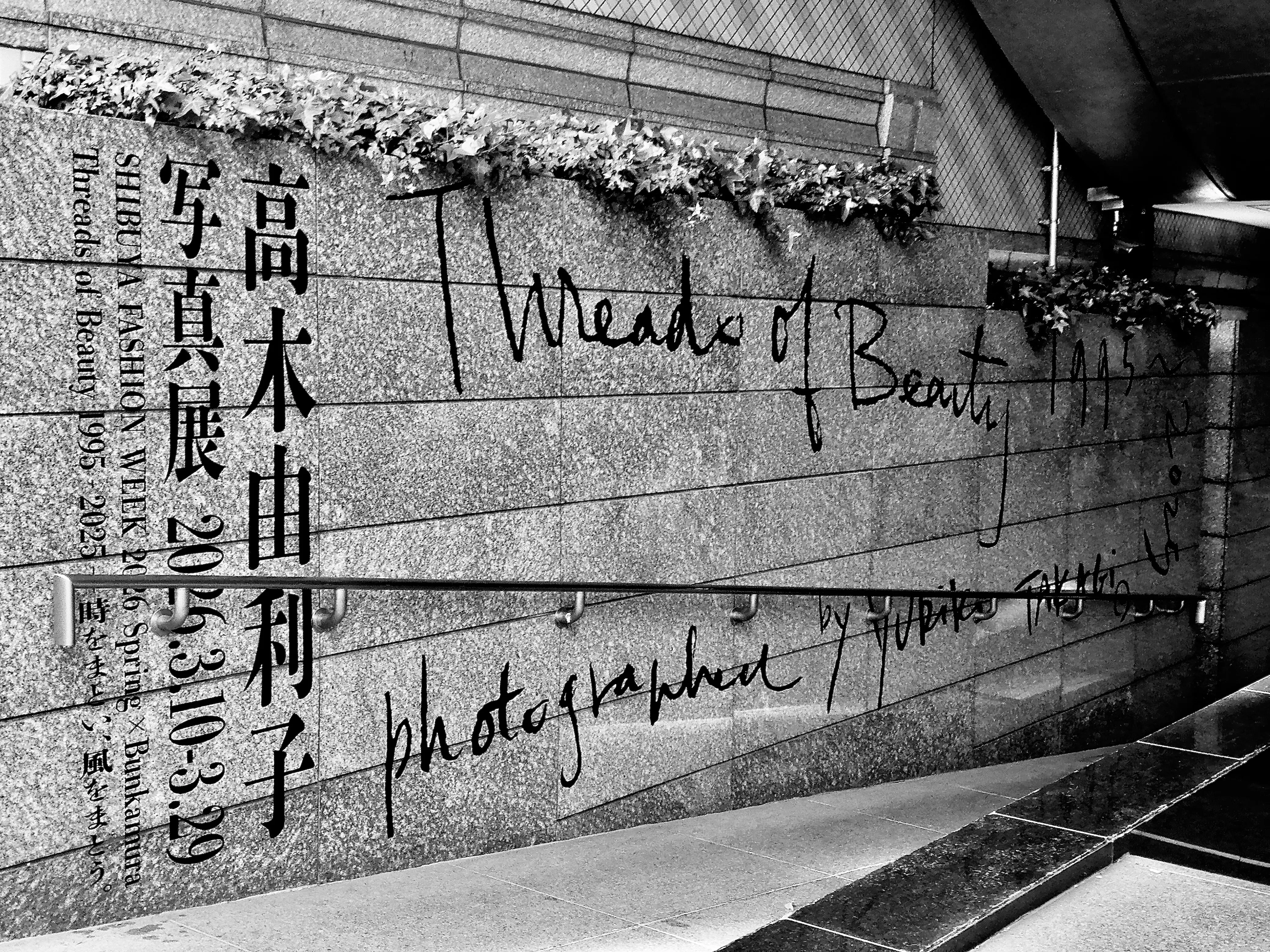 時をまとい、風をまとう|高木由利子 [写真集] Threads of Beauty 1995