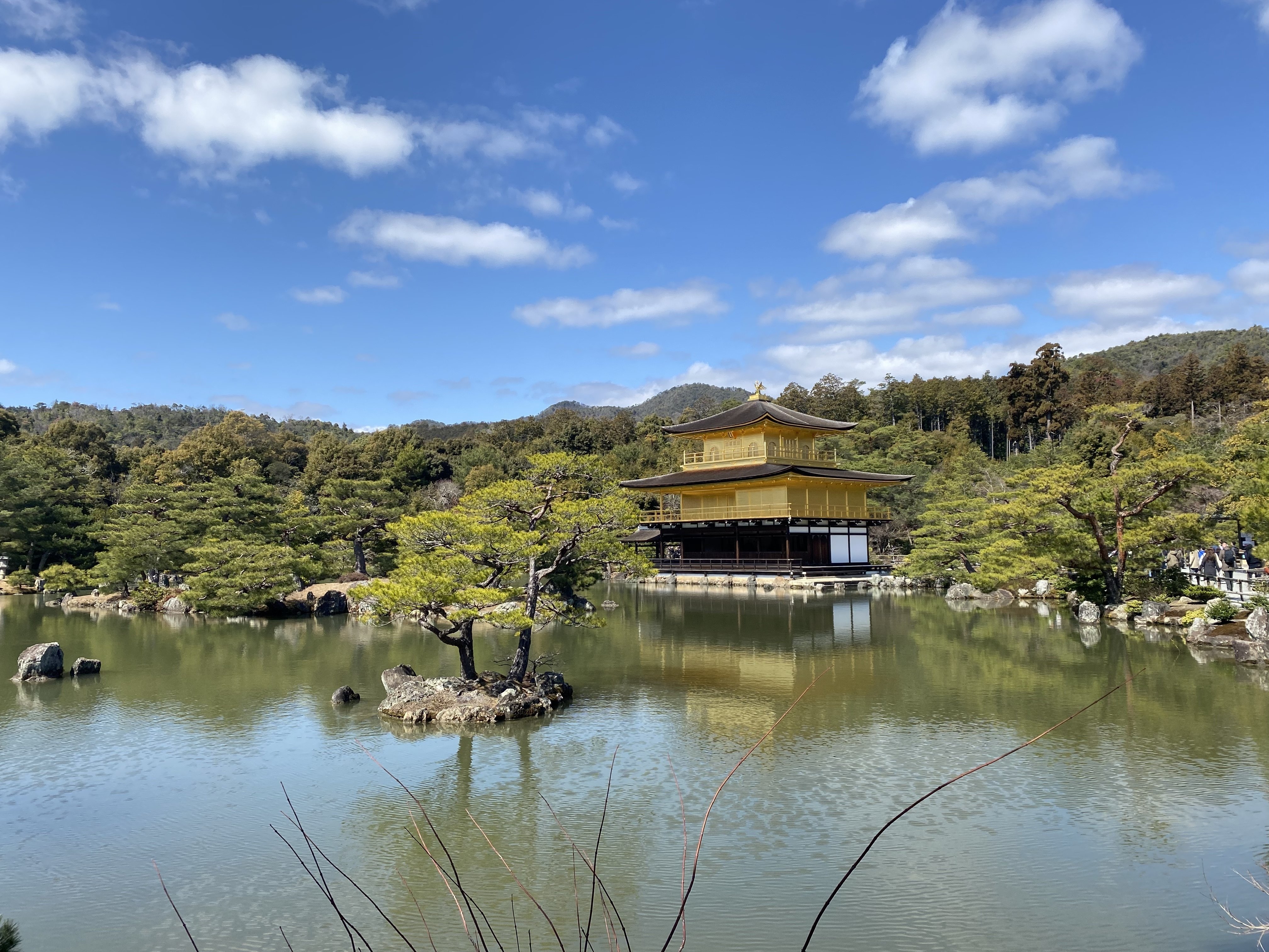 世界遺産日記｜①金閣寺って何がすごいの？｜みかん