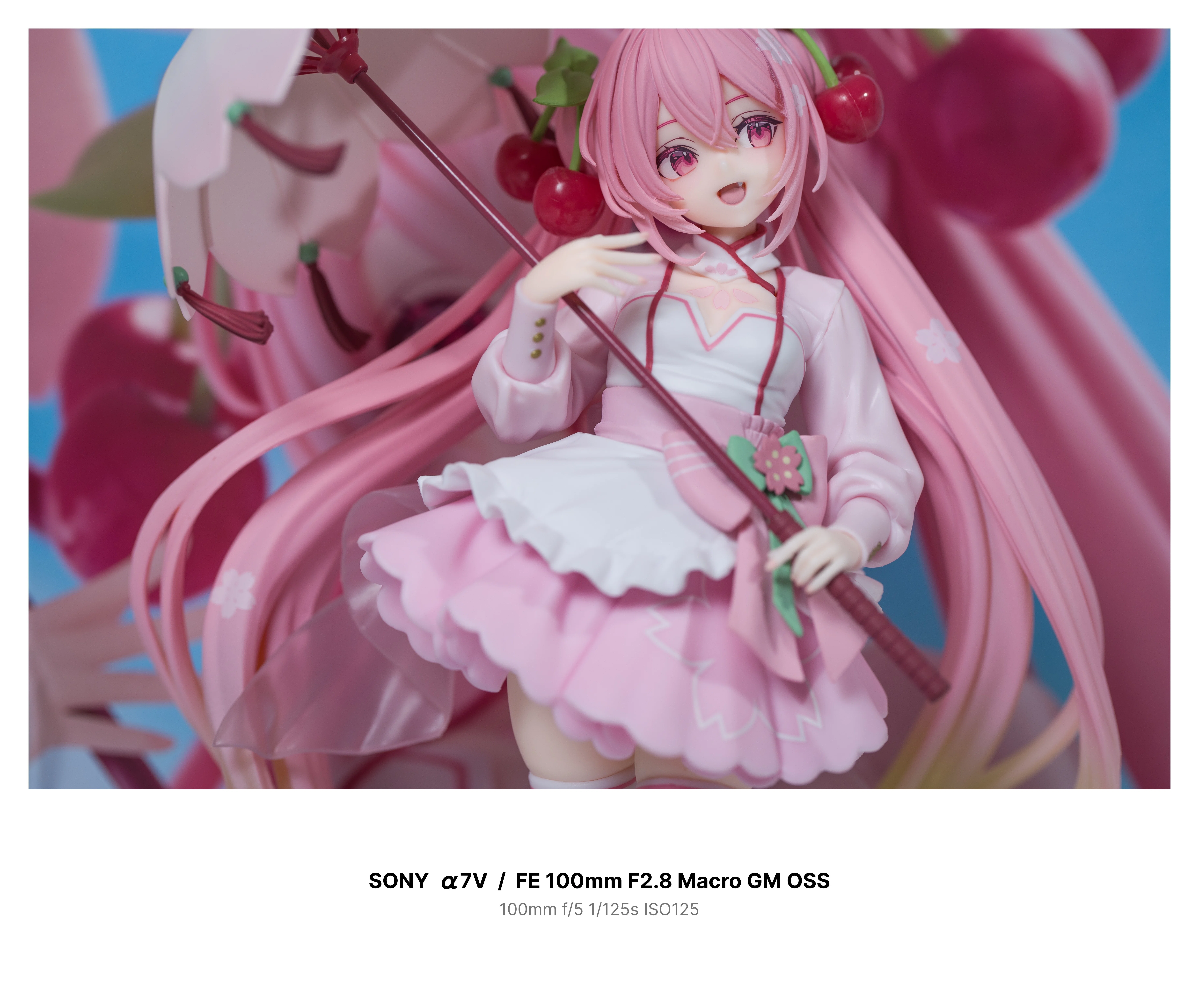 SONY α7V GMレンズ】 2ヶ月前に初めて一眼カメラを購入した話｜しろ