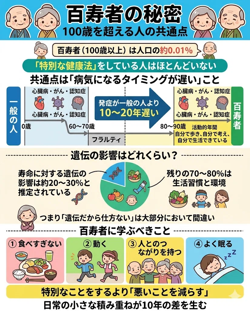 百寿者の秘密:100歳を超える人の共通点。百寿者(100歳以上)は人口の約0.01%。「特別な健康法」をしている人はほとんどいない。共通点は「病気になるタイミングが遅い」こと。・同じ病気(心臓病・がん・認知症)にはなる。・でも発症が一般の人より10〜20年遅い。・80代後半〜90代でも自分で歩き、自分で考え、自分で生活できている。遺伝の影響はどれくらい?。・寿命に対する遺伝の影響は約20〜30%と推定されている。・残りの70〜80%は生活習慣と環境。・つまり「遺伝だから仕方ない」は大部分において間違い。百寿者に学ぶべきこと。・特別なことをするより「悪いことを減らす」。・食べすぎない・動く・人とのつながりを持つ・よく眠る。・日常の小さな積み重ねが10年の差を生む