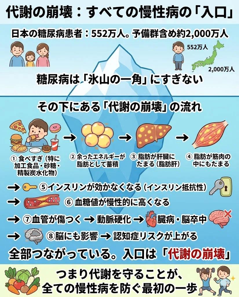 代謝の崩壊:すべての慢性病の「入口」。日本の糖尿病患者:552万人。予備群含め約2,000万人。糖尿病は「氷山の一角」にすぎない。その下にある「代謝の崩壊」の流れ。① 食べすぎ(特に加工食品・砂糖・精製炭水化物)。② 余ったエネルギーが脂肪として蓄積。③ 脂肪が肝臓にたまる(脂肪肝)。④ 脂肪が筋肉の中にもたまる。⑤ インスリンが効かなくなる(インスリン抵抗性)。⑥ 血糖値が慢性的に高くなる。⑦ 血管が傷つく → 動脈硬化 → 心臓病・脳卒中。⑧ 脳にも影響 → 認知症リスクが上がる。全部つながっている。入口は「代謝の崩壊」。つまり代謝を守ることが、全ての慢性病を防ぐ最初の一歩