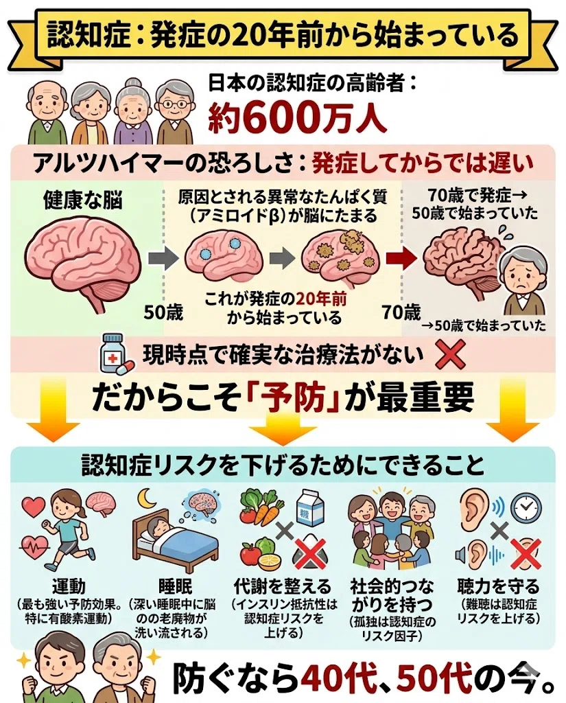 認知症:発症の20年前から始まっている。日本の認知症の高齢者:約600万人。アルツハイマーの恐ろしさ:発症してからでは遅い。・原因とされる異常なたんぱく質(アミロイドβ)が脳にたまる。・これが発症の20年前から始まっている。・70歳で発症 → 50歳で始まっていた。・現時点で確実な治療法がない。だからこそ「予防」が最重要。認知症リスクを下げるためにできること。・運動(最も強い予防効果。特に有酸素運動)。・睡眠(深い睡眠中に脳の老廃物が洗い流される)。・代謝を整える(インスリン抵抗性は認知症リスクを上げる)。・社会的つながりを持つ(孤独は認知症のリスク因子)。・聴力を守る(難聴は認知症リスクを上げる)。防ぐなら40代、50代の今。