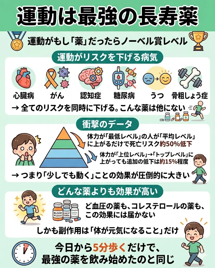 運動は最強の長寿薬。運動がもし「薬」だったらノーベル賞レベル。運動がリスクを下げる病気。・心臓病 ・がん ・認知症 ・糖尿病 ・うつ ・骨粗しょう症。→ 全てのリスクを同時に下げる。こんな薬は他にない。衝撃のデータ。・体力が「最低レベル」の人が「平均レベル」に上がるだけで死亡リスク約50%低下。・体力が「上位レベル」→「トップレベル」に上がっても追加の低下は約15%程度。→ つまり「少しでも動く」ことの効果が圧倒的に大きい。どんな薬よりも効果が高い。・どんな血圧の薬も、コレステロールの薬も、この効果には届かない。・しかも副作用は「体が元気になること」だけ。今日から5分歩くだけで、最強の薬を飲み始めたのと同じ
