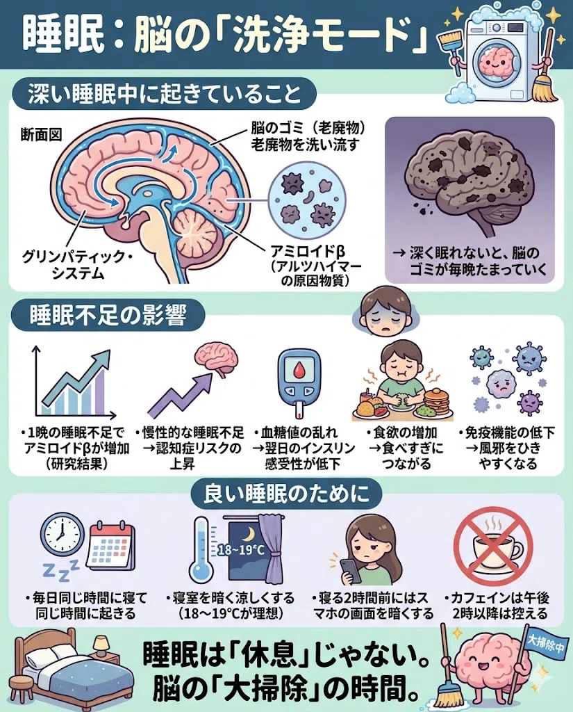 睡眠:脳の「洗浄モード」。深い睡眠中に起きていること。・脳脊髄液が脳の中を流れる(グリンパティック・システム)。・日中にたまった老廃物を洗い流す。・この老廃物の中にアミロイドβ(アルツハイマーの原因物質)が含まれる。→ 深く眠れないと、脳のゴミが毎晩たまっていく。睡眠不足の影響。・1晩の睡眠不足でアミロイドβが増加(研究結果)。・慢性的な睡眠不足 → 認知症リスクの上昇。・血糖値の乱れ → 翌日のインスリン感受性が低下。・食欲の増加 → 食べすぎにつながる。・免疫機能の低下 → 風邪をひきやすくなる。良い睡眠のために。・毎日同じ時間に寝て同じ時間に起きる。・寝室を暗く涼しくする(18〜19℃が理想)。・寝る2時間前にはスマホの画面を暗くする。・カフェインは午後2時以降は控える。睡眠は「休息」じゃない。脳の「大掃除」の時間。