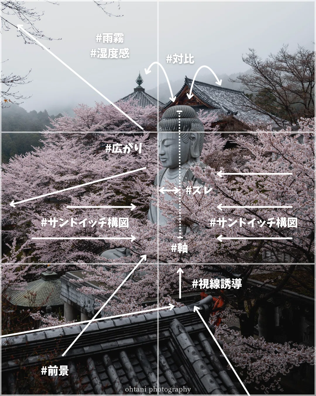 No.003_桜に包まれた大仏様｜【図解】なぜこの風景は定番なのか
