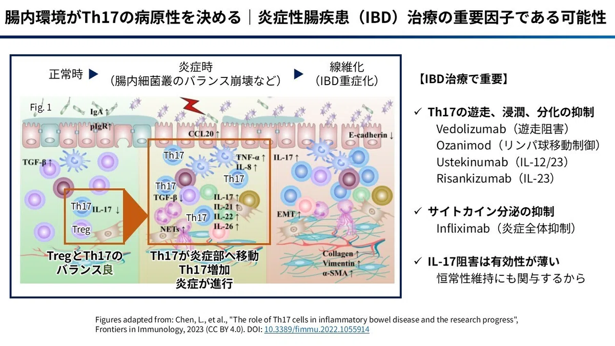 Work Intro Slide Examples Nakakoma's Self-Introduction Note (July 2026)|中村悠太|医療・薬学情報を整理する薬剤師