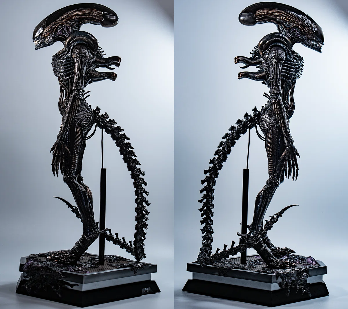 hottoys ホットトイズ エイリアンロムルス スコーチド・ゼノモーフ