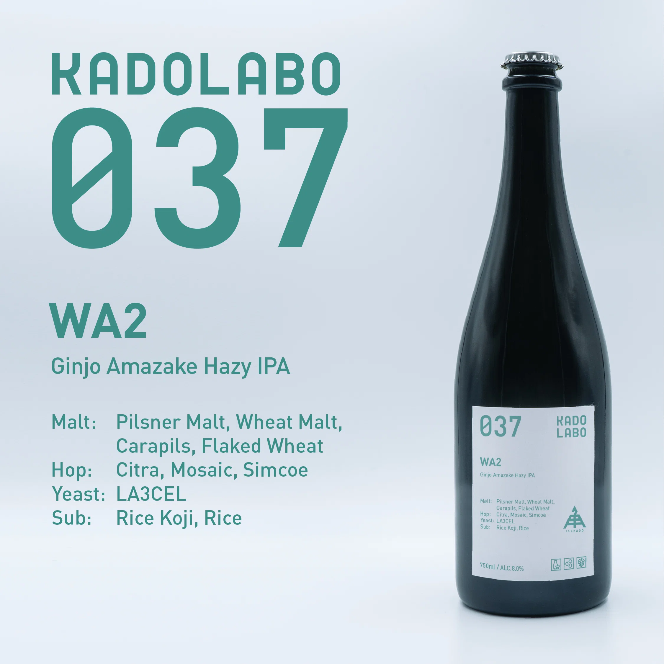 KADOLABO 037 WA2｜KADOLABO