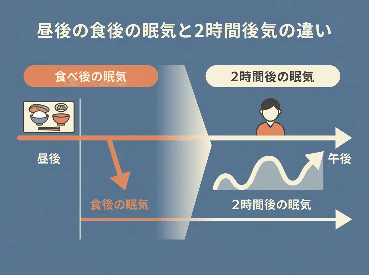食後2時間で眠いのは普通?昼のだるさの見分け方|nemk | 午後パフォーマンス研究室