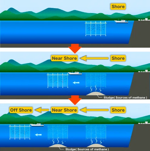 marine aquaculture