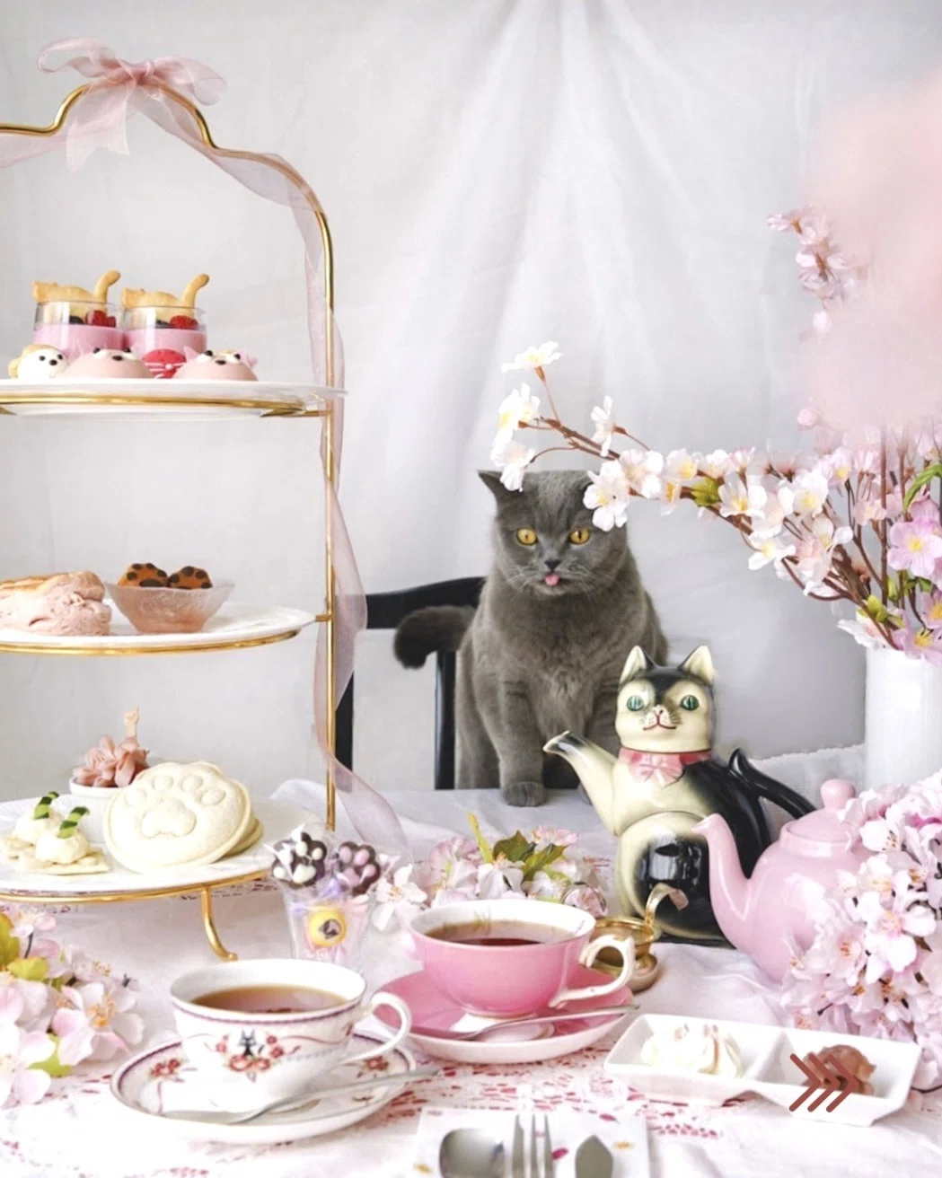 最高に猫猫しいアフタヌーンティーセットができたので、見てほしいです