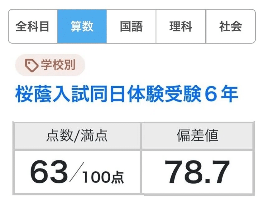NN桜蔭 算数　ファイナルチェック 中学受験算数】技術系と思考系の土台を固め、大量の良問を短時間で