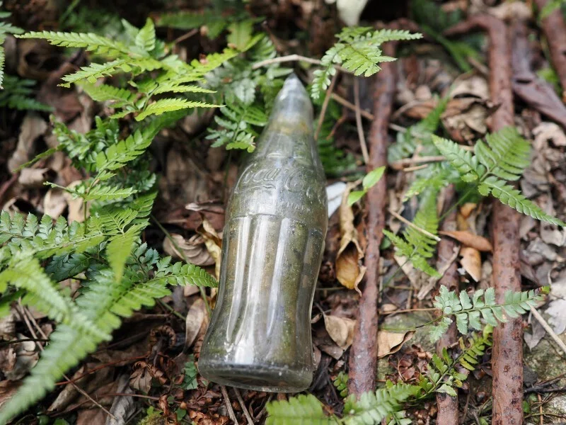 A selection of photos taken in Yakushima from early to mid-March ...
