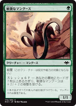 Plus1】デッキ紹介『青緑スレッショルド』#MTG｜青猫あずき