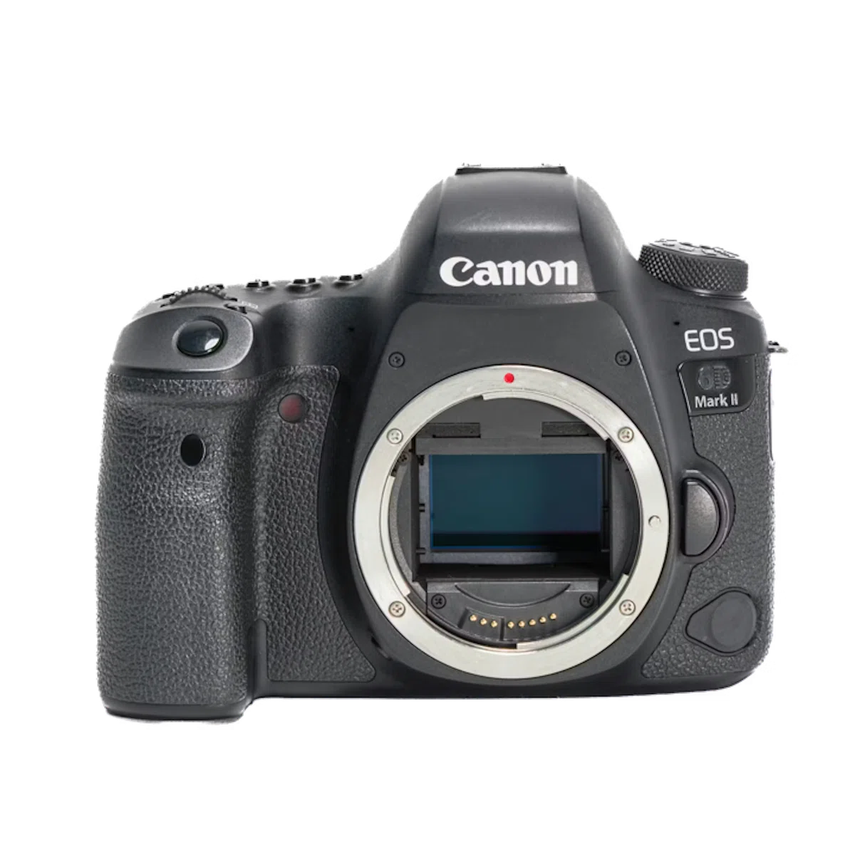 Canonフルサイズカメラおすすめ7選！価格で選ぶミラーレスと一眼レフ 