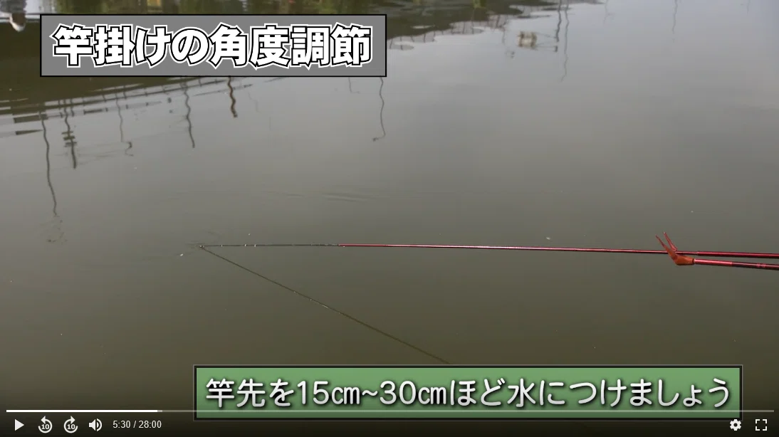 観てみたシリーズ】ヘラブナ釣りの基本と用語を勉強できるバイブル動画