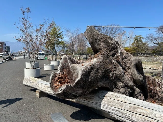 A front-row seat to view the quintessential Matsumoto scenery is