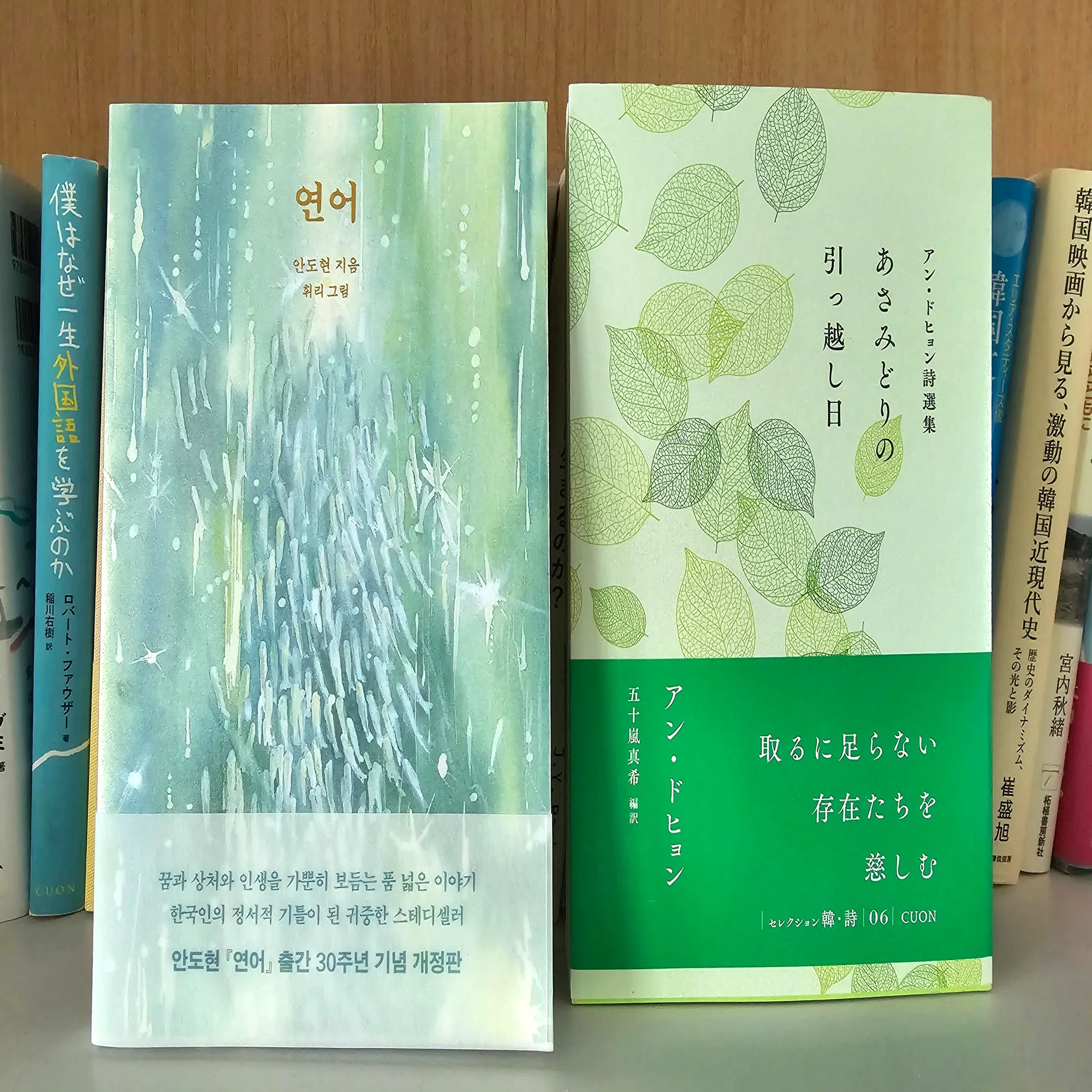 31》 韓国の独立系書店 「그림책방 곰곰（Picturebooks Gomgom）」訪問