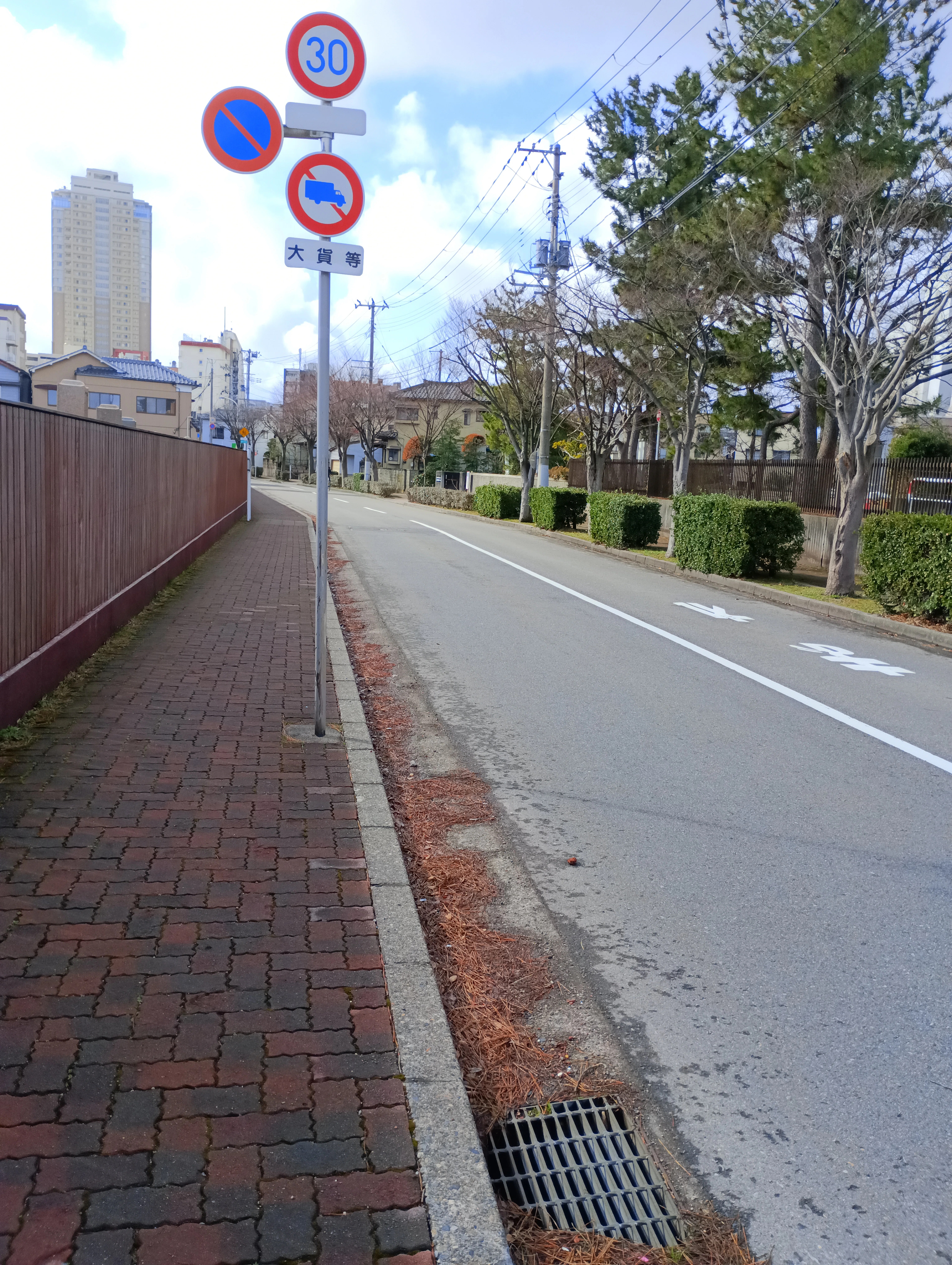 ぶら旅 新潟（46）「東大畑通」付近｜松本隆志
