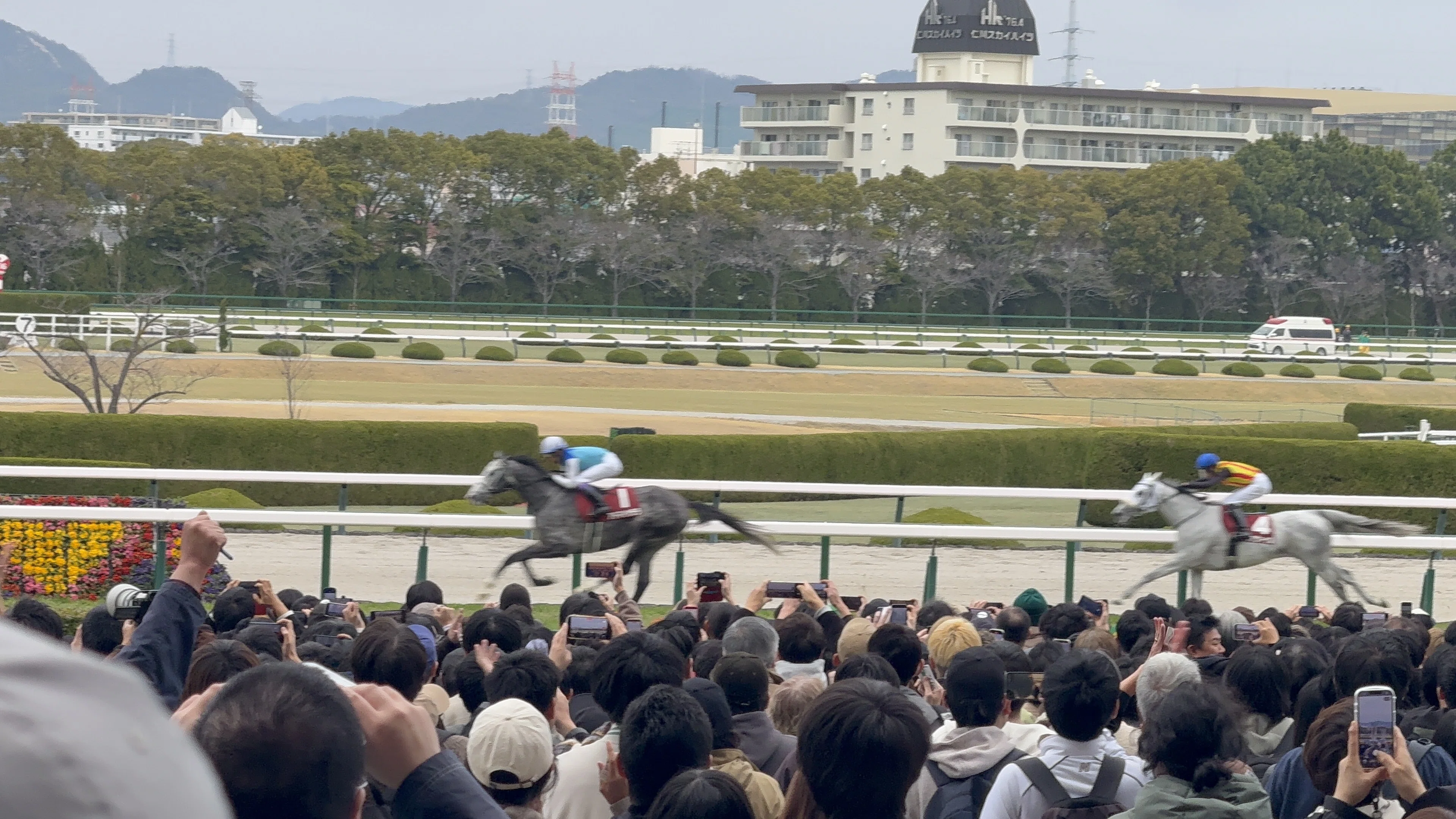 阪神大賞典回顧】アドマイヤテラ驚異のレコード3.02.0‼️武豊の完璧な