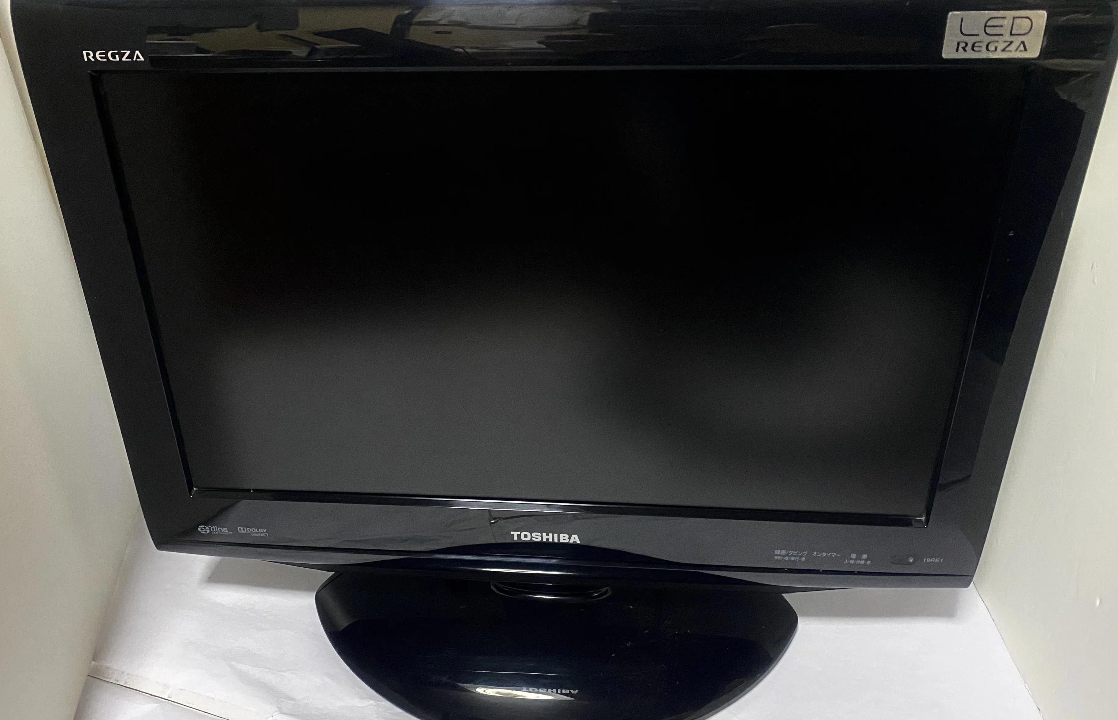 Why I Loved My 2010 REGZA 19RE1 [Perfect for Retro Gaming