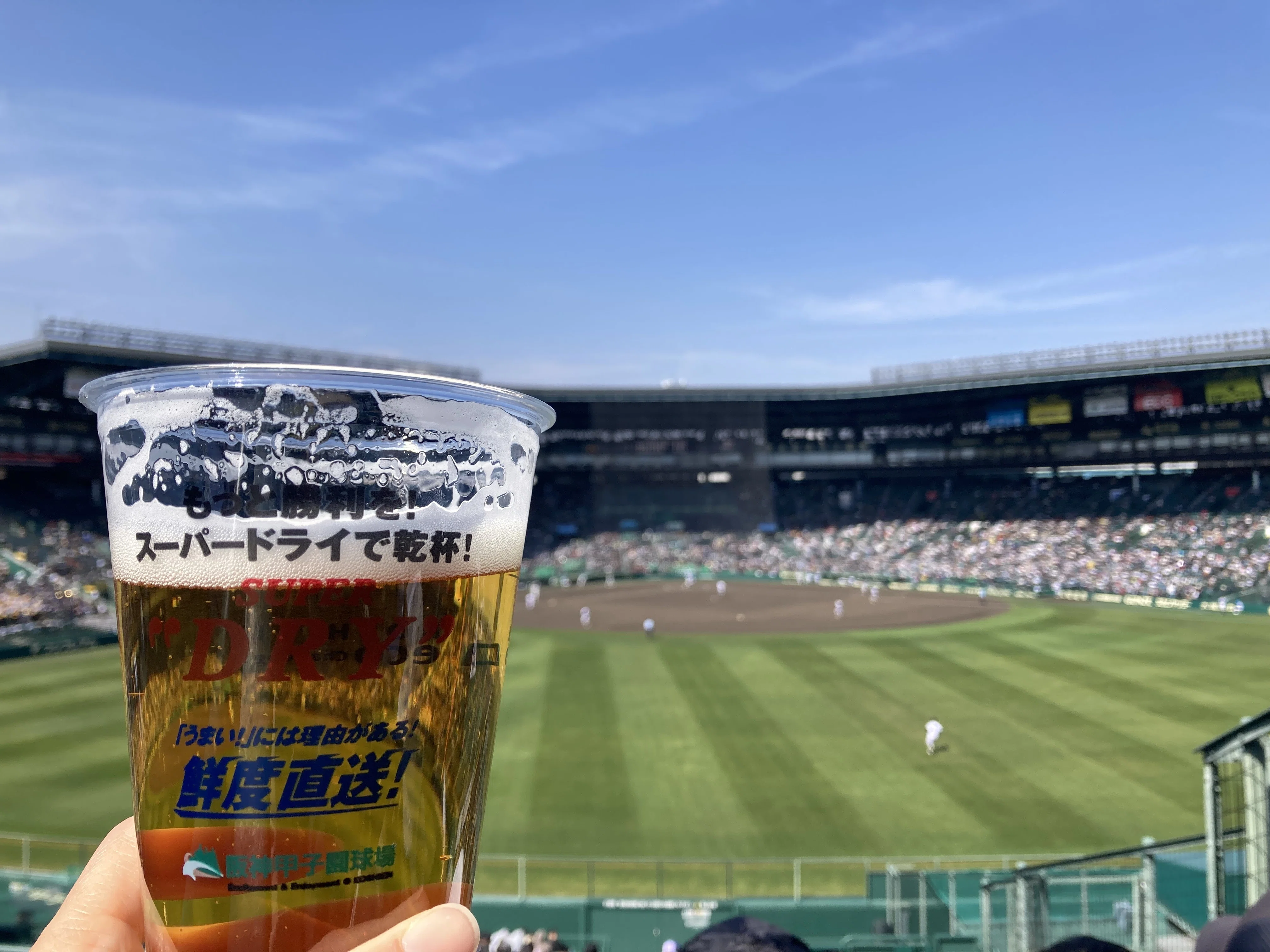 子連れ旅行記】兵庫県西宮市に12年住んで初めて行った甲子園球場！約5