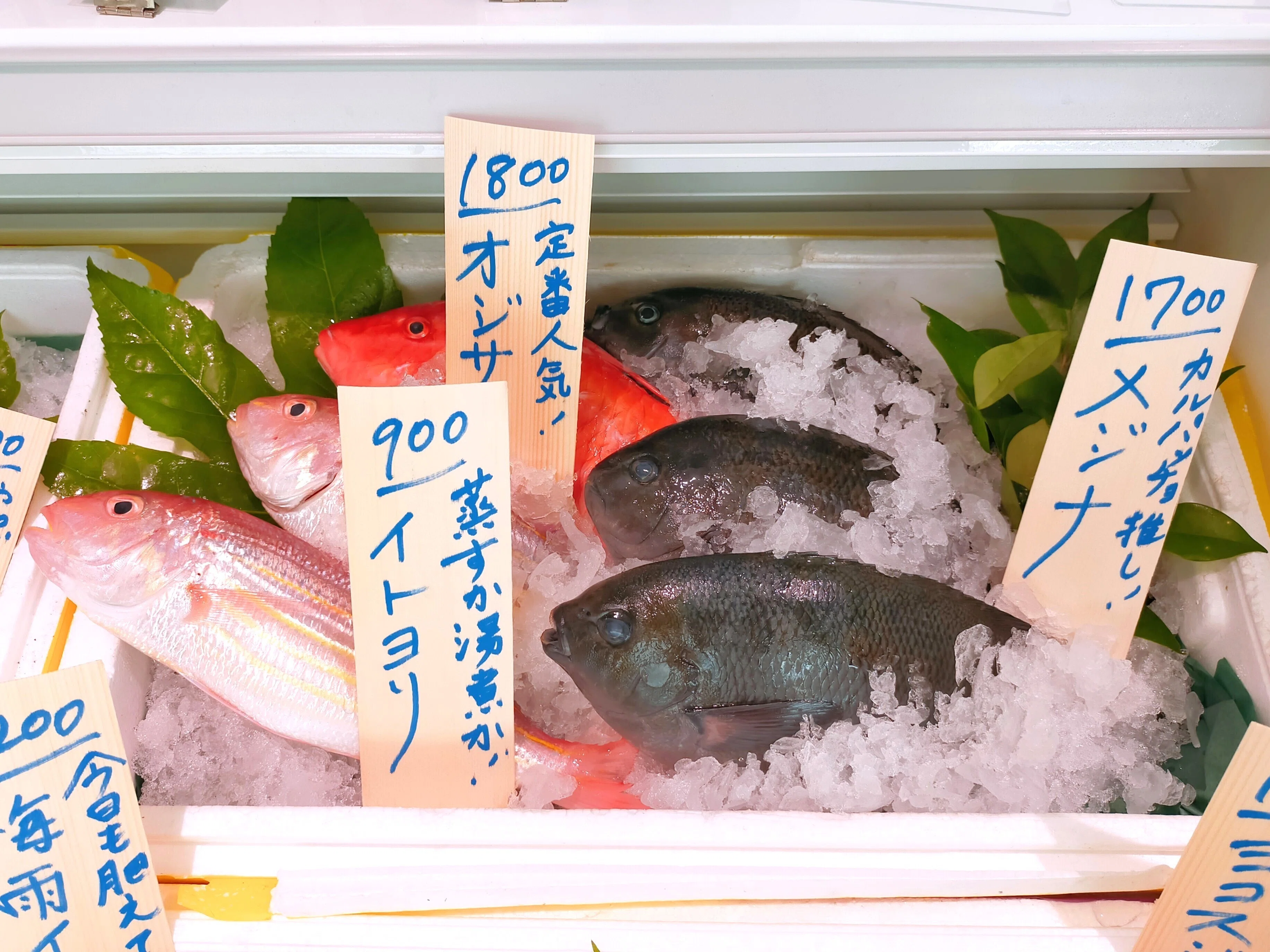 鎌倉市】出会ったことのない魚に出会える。阿久根と鎌倉を繋ぐ、まちの