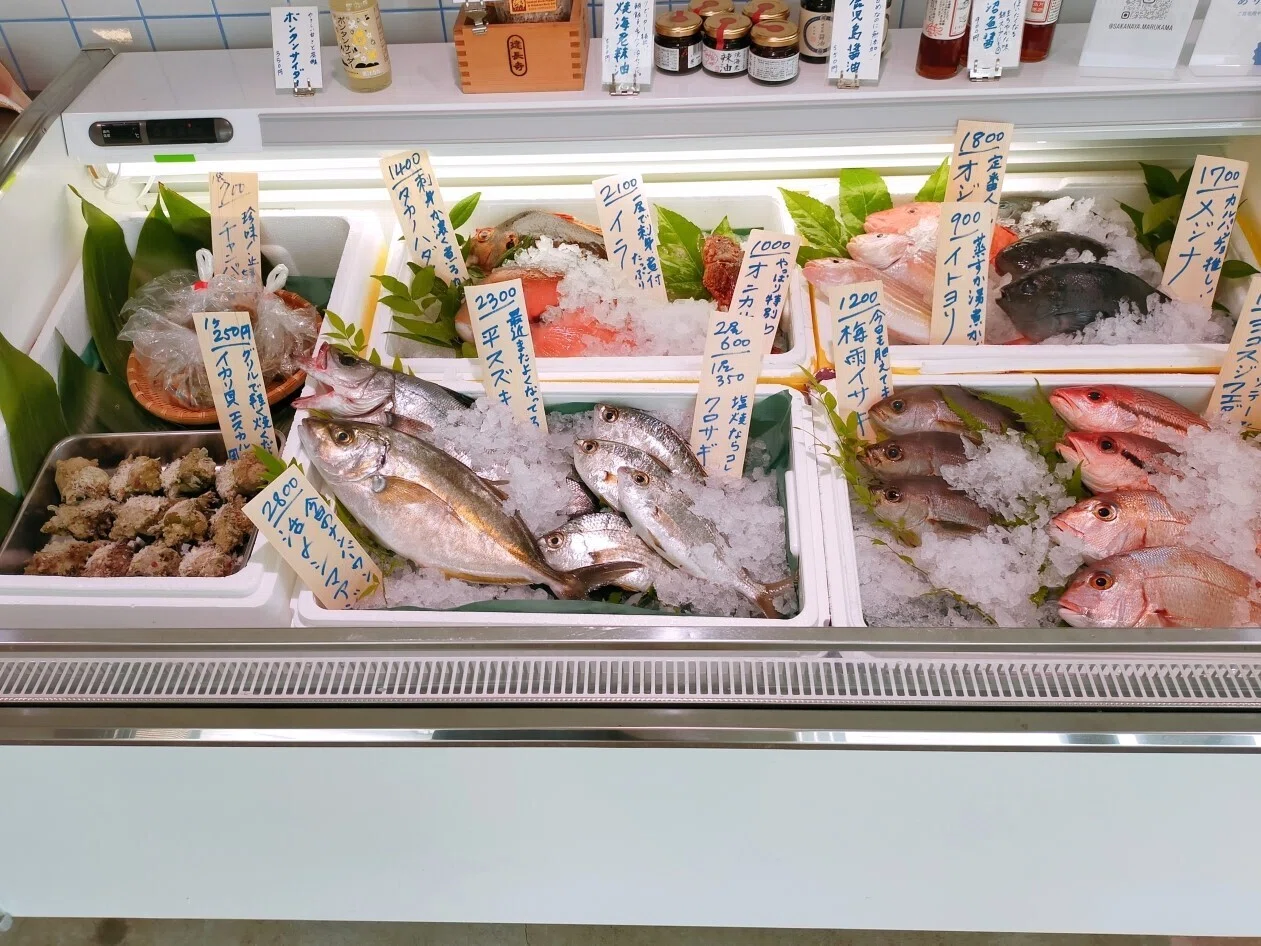 鎌倉市】出会ったことのない魚に出会える。阿久根と鎌倉を繋ぐ、まちの