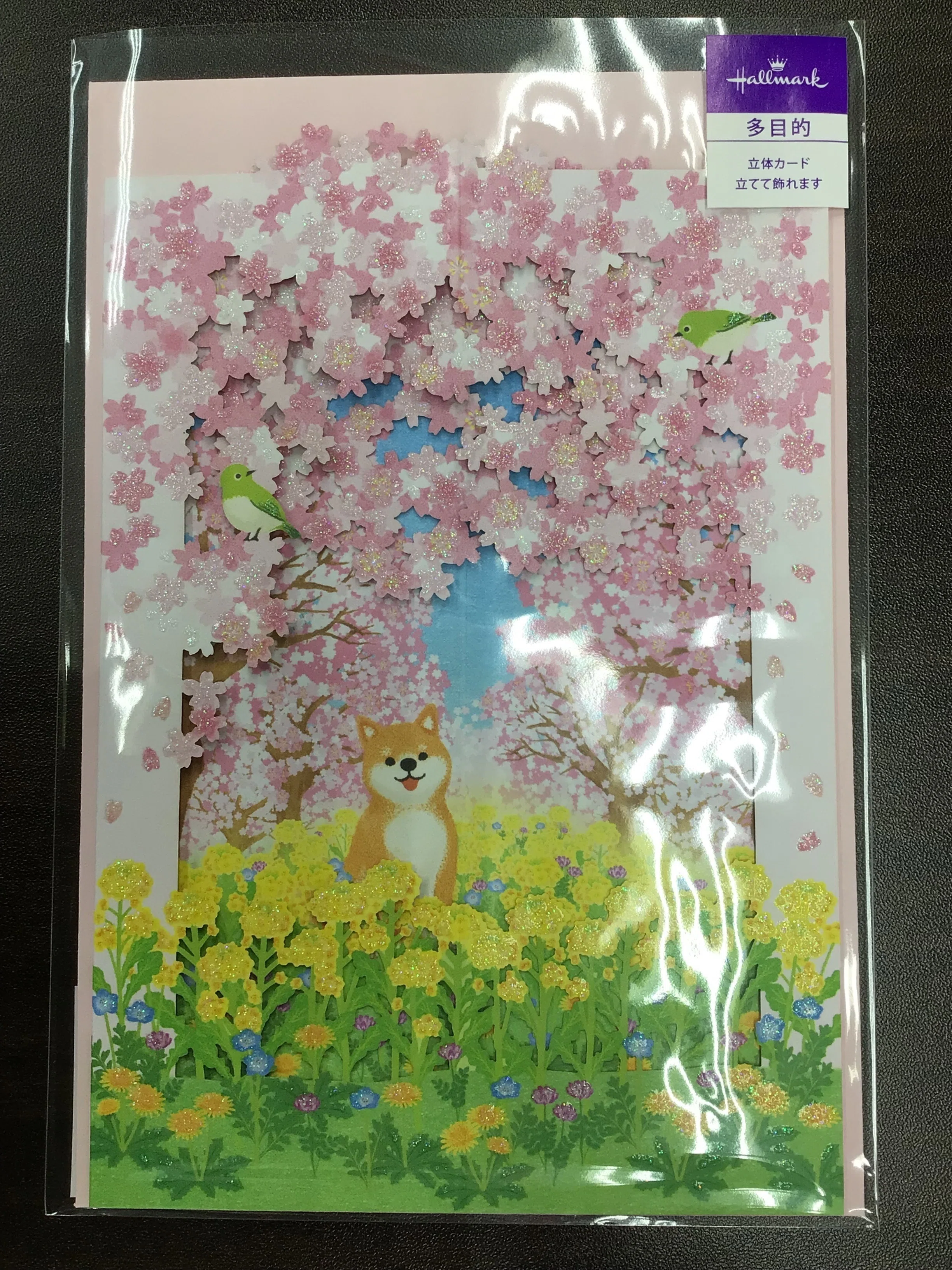 Capture the Magic of Sakura! 🌸💌 Send a Piece of Japanese Spring