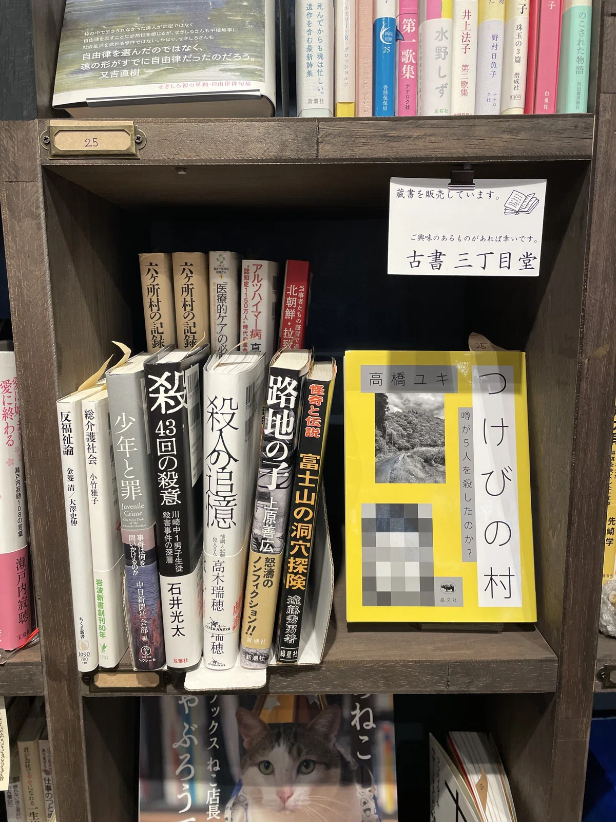 📗 Creating Shelves at a Shared Bookstore! Introducing Our Shelf Owners ...