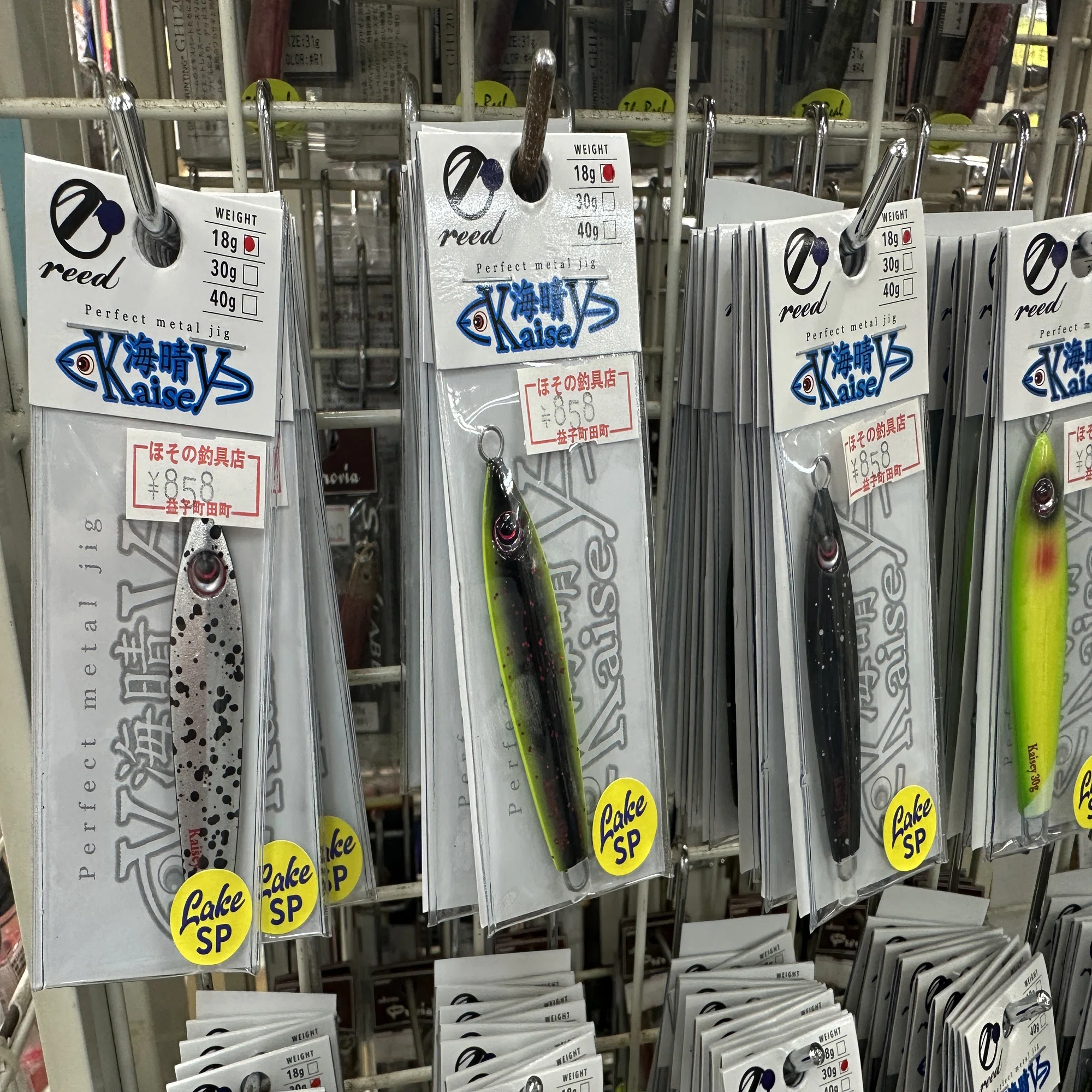中禅寺湖のレイクトラウトを攻略する。「海晴 LSPカラー」18g・30g 