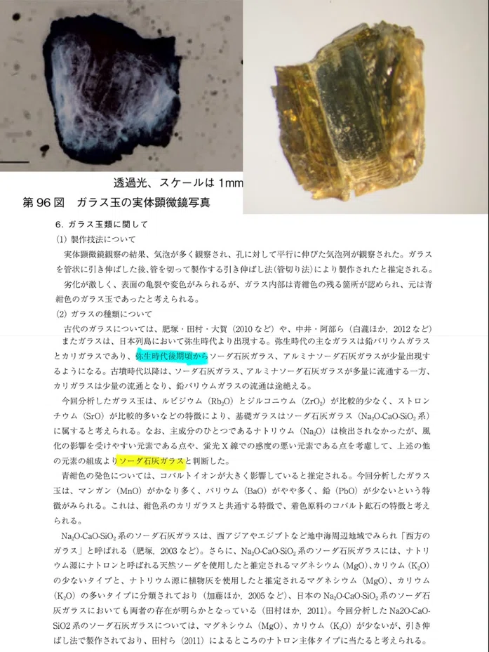 海のシルクロード」北近畿からインド・パシフィックビーズが流入 