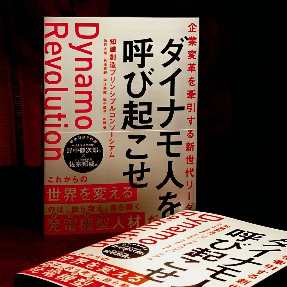 企業変革を牽引する新世代リーダー ダイナモ人を呼び起こせ』｜紺野 登