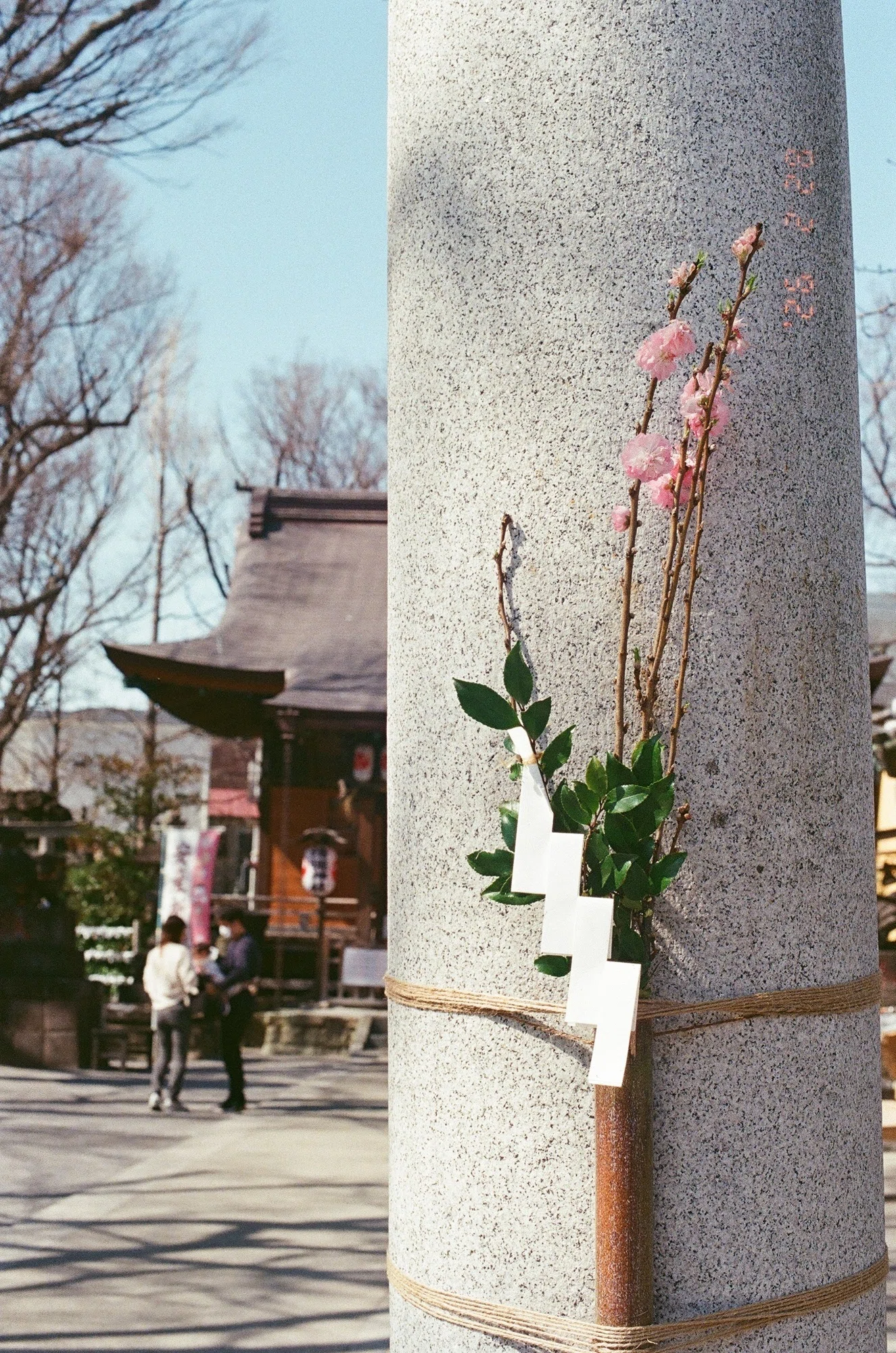 作例あり＞Nikon F80 フィルム一眼レフカメラ ボディ AF 【公式通販】