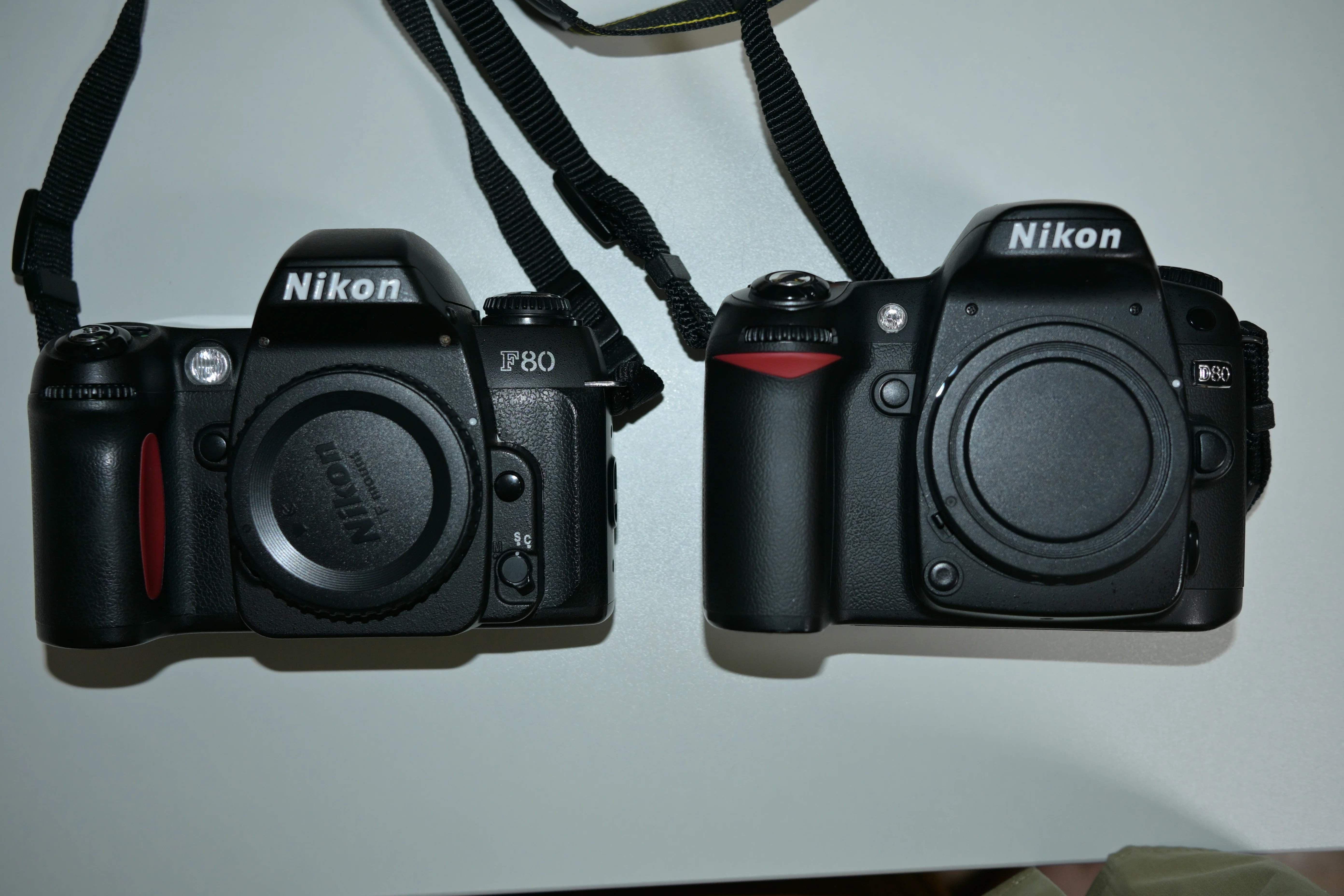 ニコン沼（Nikon F80編） フィルムカメラの魅力 作例あり｜えれ