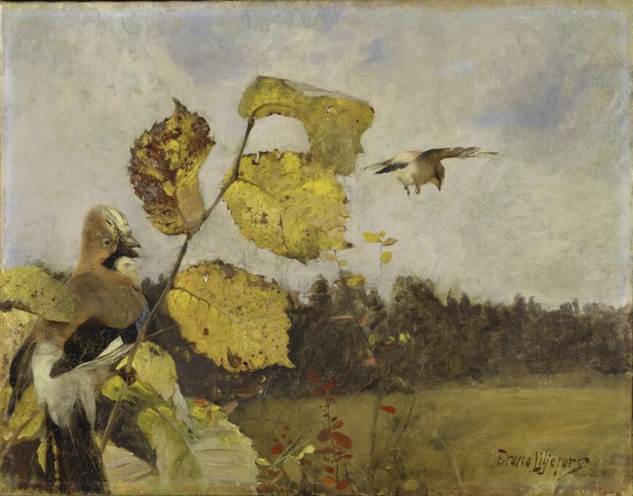 スウェーデン絵画」展出品作② リリエフォッシュ《カケス》1886年