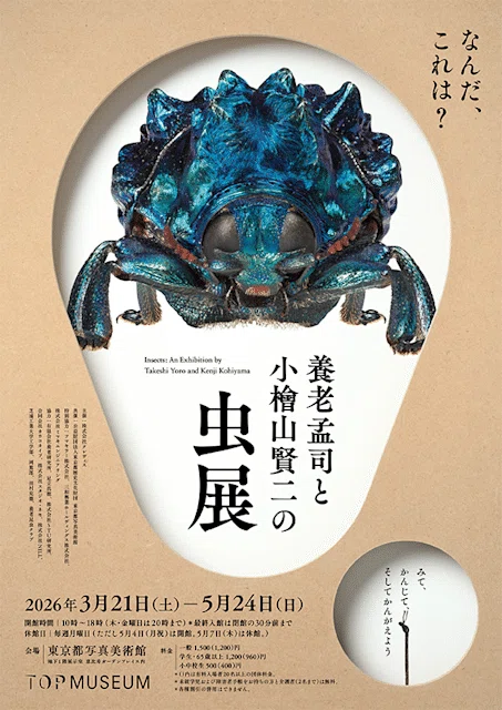 虫展 なんだ、これは？答えはぜんぶ、虫にある｜もちもち