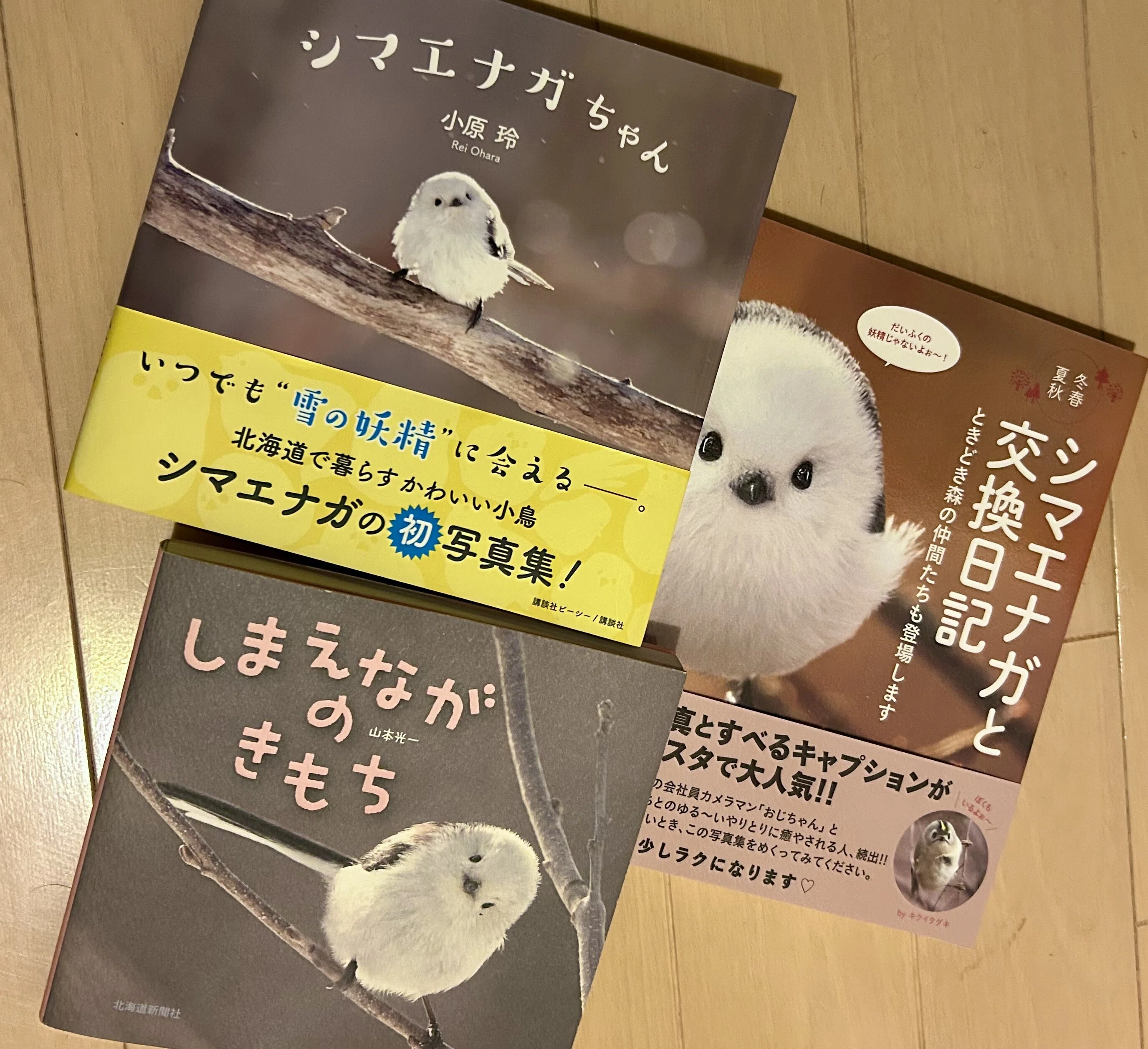 シマエナガ(⚫︎△⚫︎)の可愛さはどこから来るのか？｜TOLIMAN Hondα
