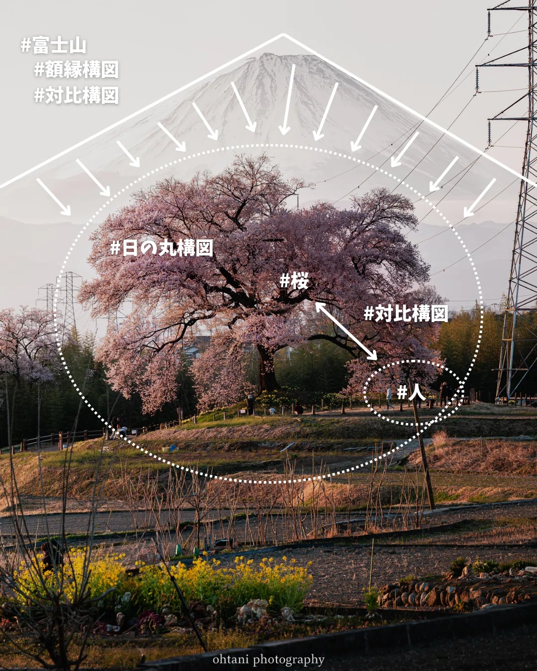 No.004_だから、わに塚の桜は最高｜【図解】なぜこの風景は定番なのか