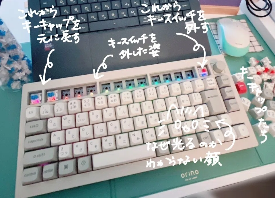打鍵音あり】キーボード初心者が赤軸→青軸に交換してみた｜すばる