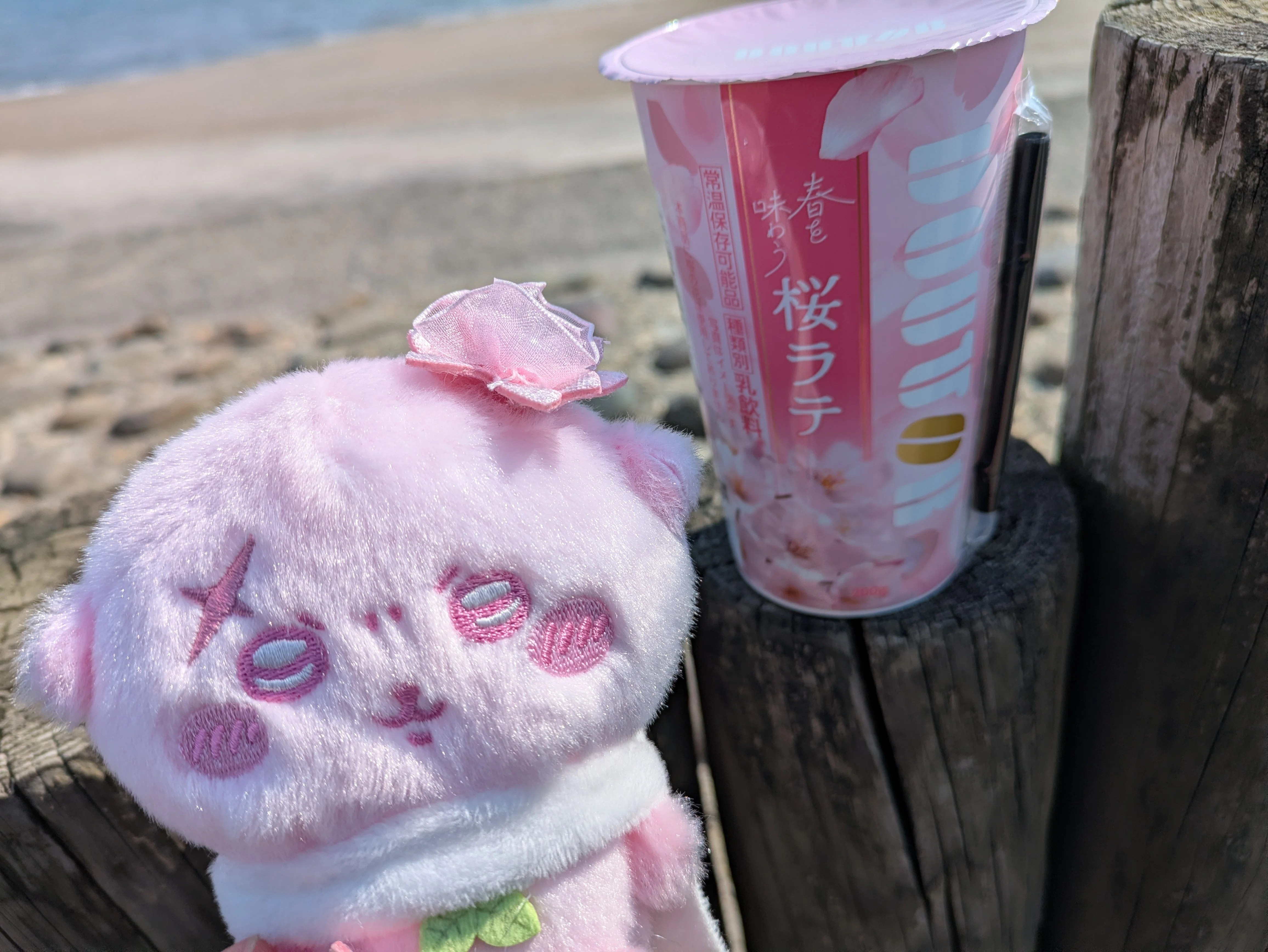 桜色をいっぱい愛でたい＆食べたい｜三谷乃亜