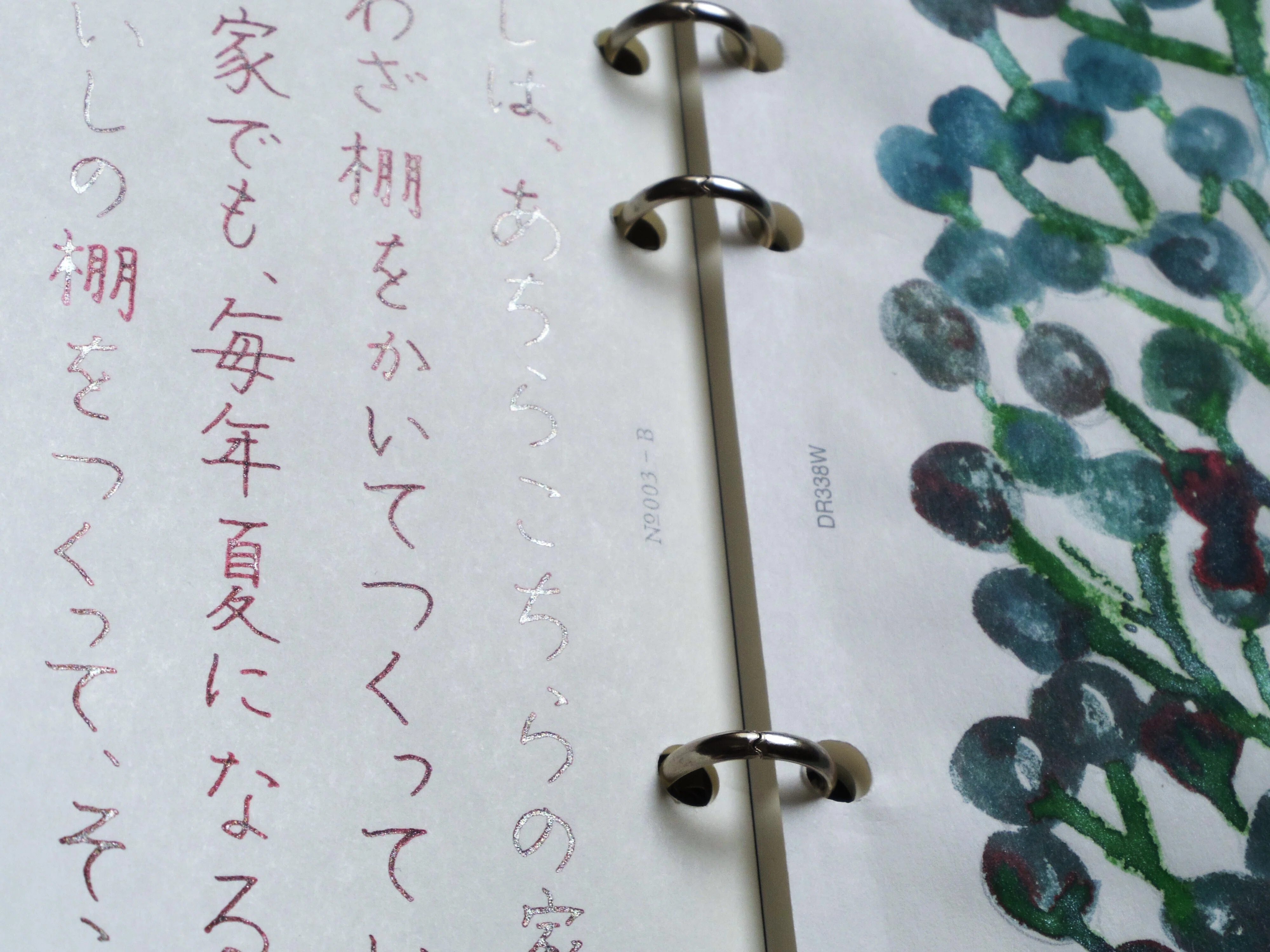 万年筆インク沼からこんにちは 〜フラッシュ〜｜手帳Q子
