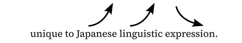 unique to Japanese linguistic expressionという文言が白地にSerifで描かれている。Japaneseとlinguisticの上には上向きにカーブした矢印が、expressionは上から下へカーブした矢印がある。