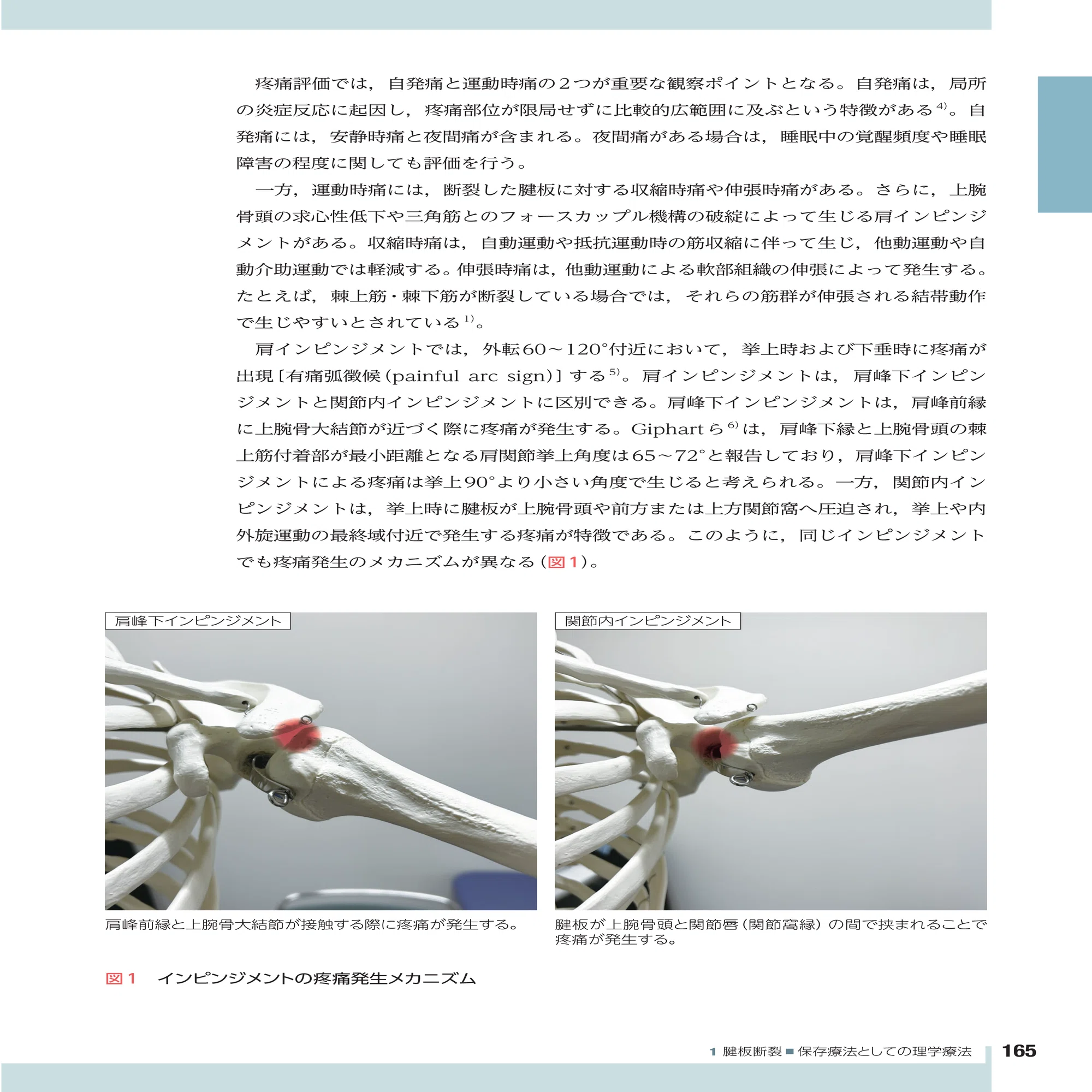 書籍試し読み】医師と理学療法士のタッグで患者を治す！『フルカラーで
