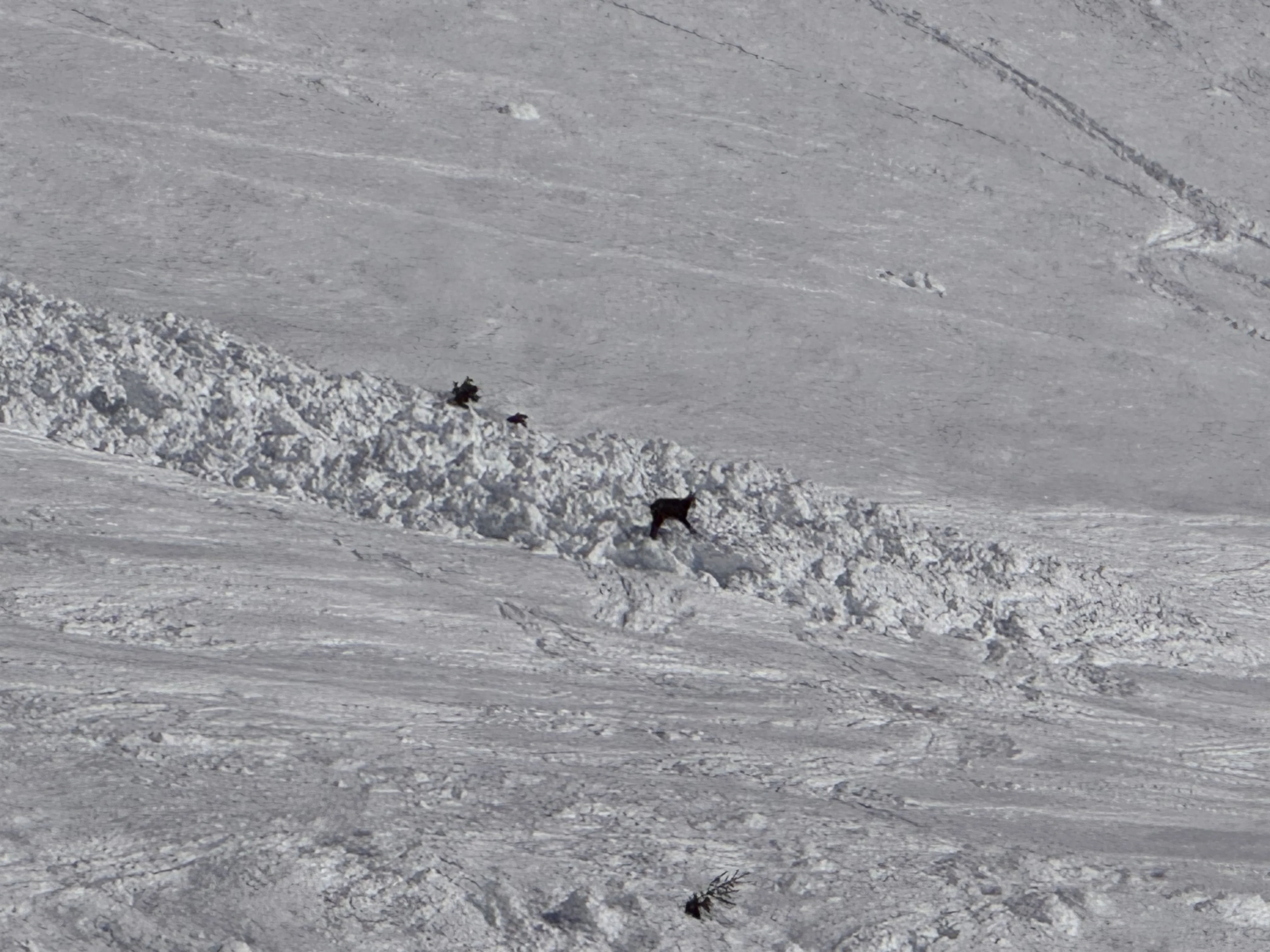 後編】シャモニー・モンブラン🇫🇷でスノーボードしてきた🏂｜ゆずぴ