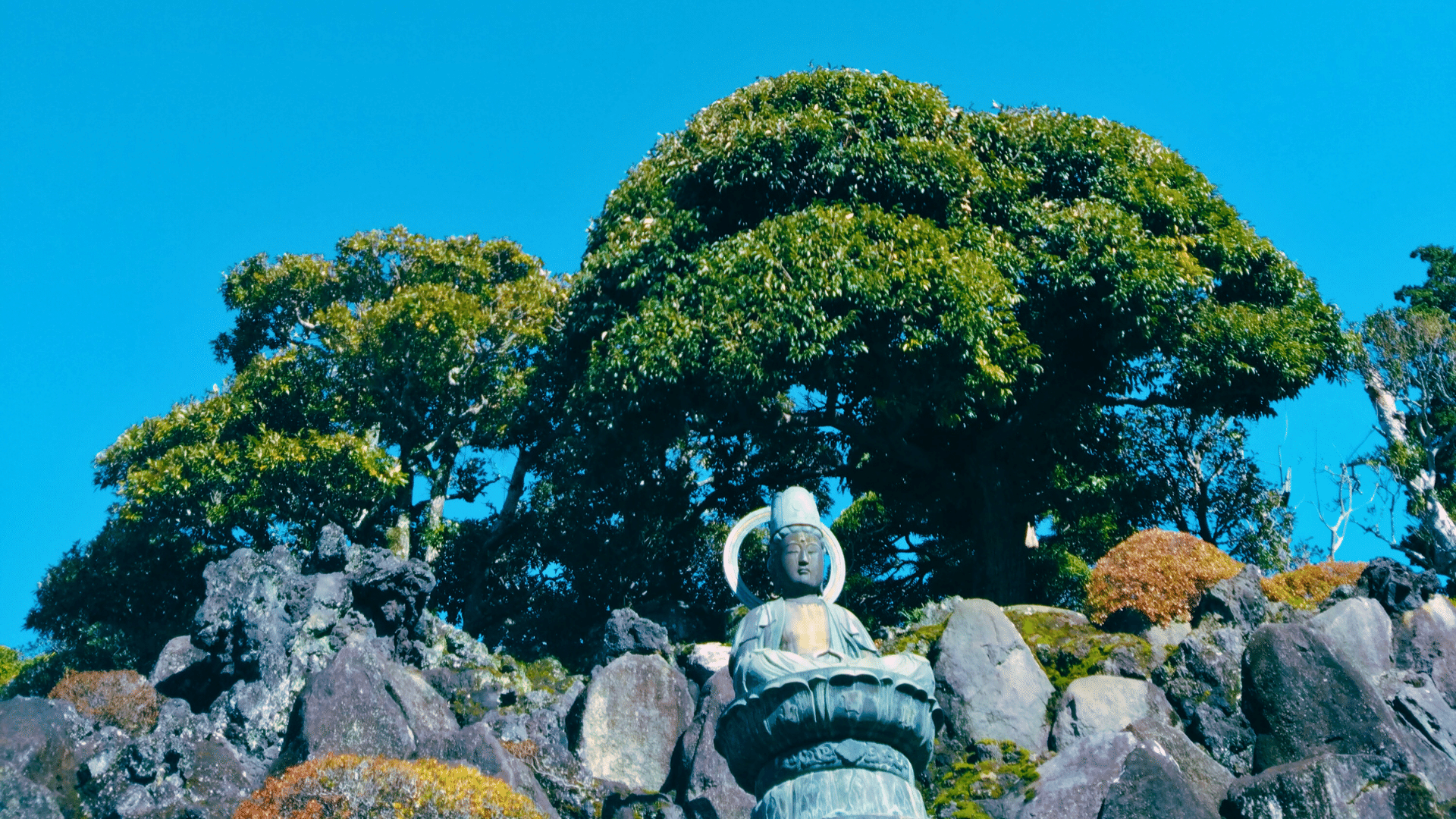 彫刻の美意識【大本山成田山新勝寺＋見立て旅】 #信仰 #刻字 #祈願
