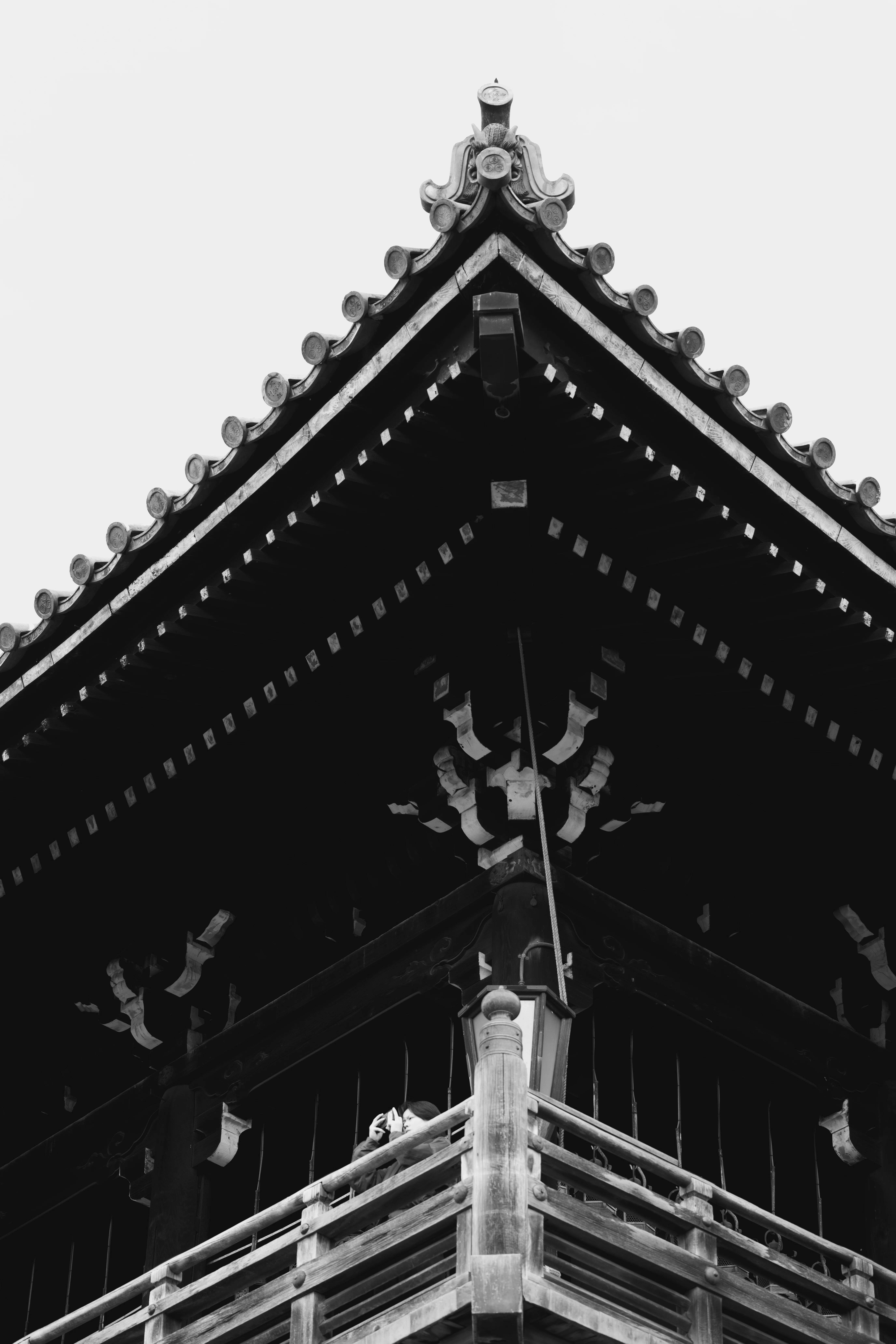 奈良と京都、そして少しの写真｜ひろかず