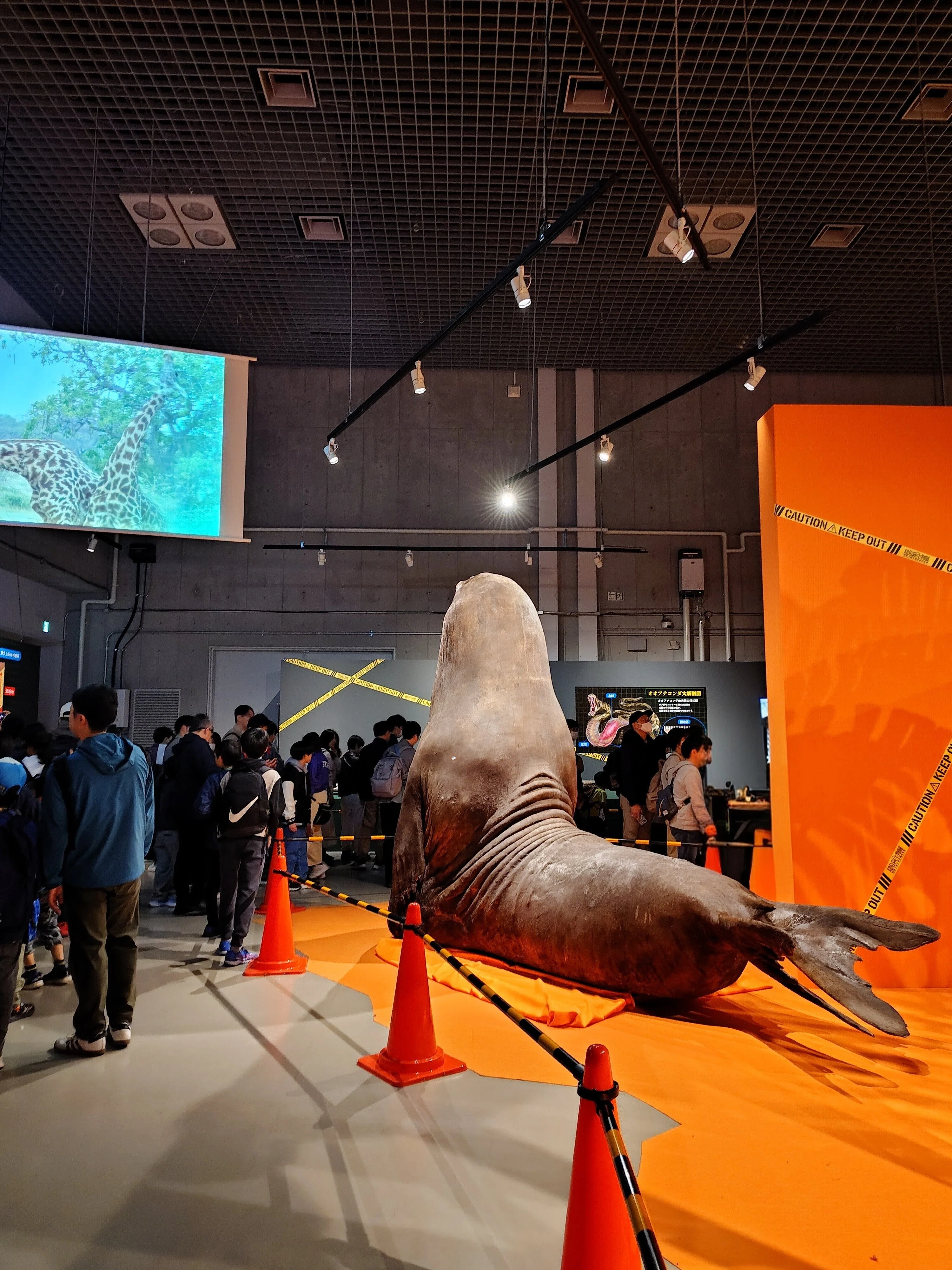 科博の屋上でピクニック&超危険生物展｜sato